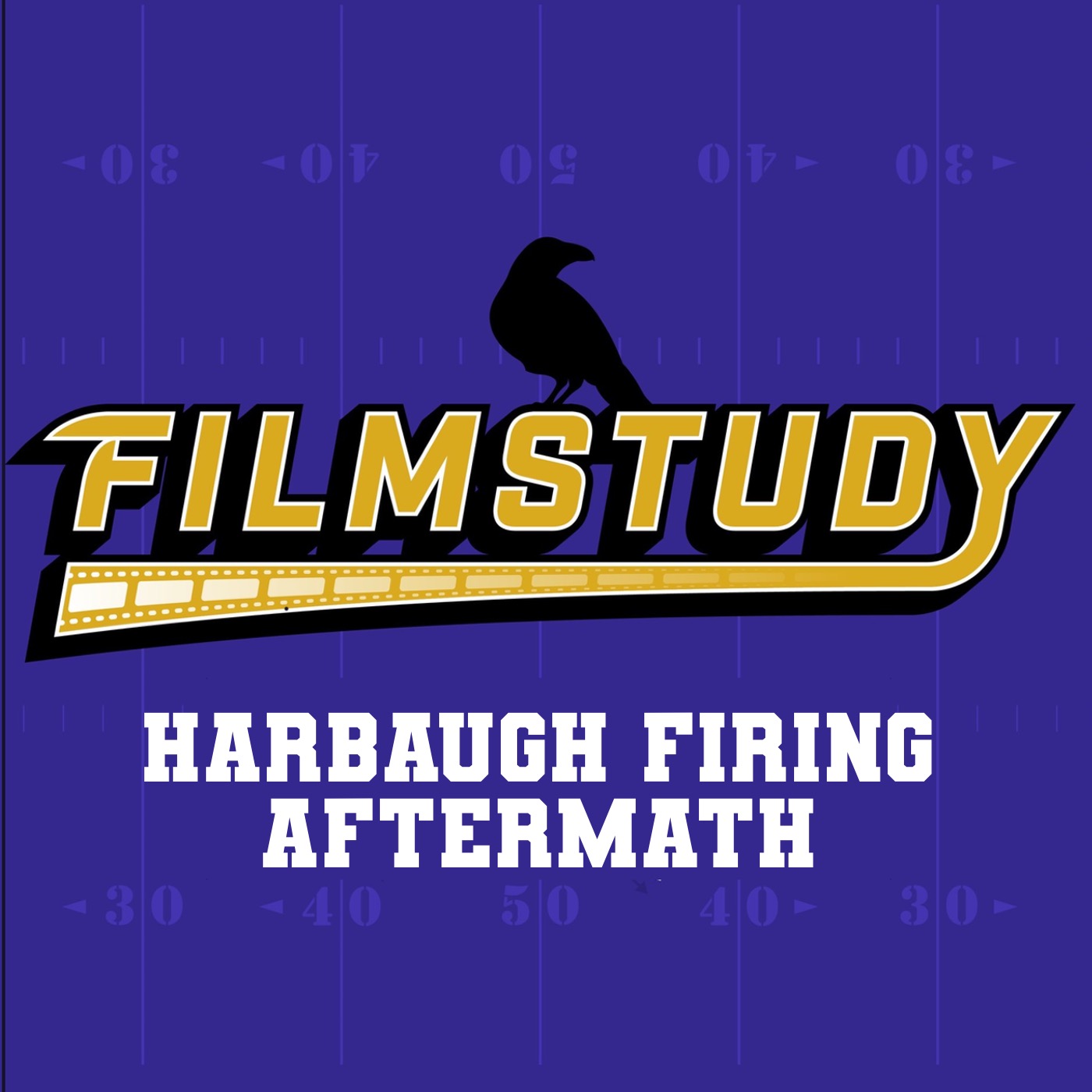 Harbaugh Firing Aftermath episode artwork