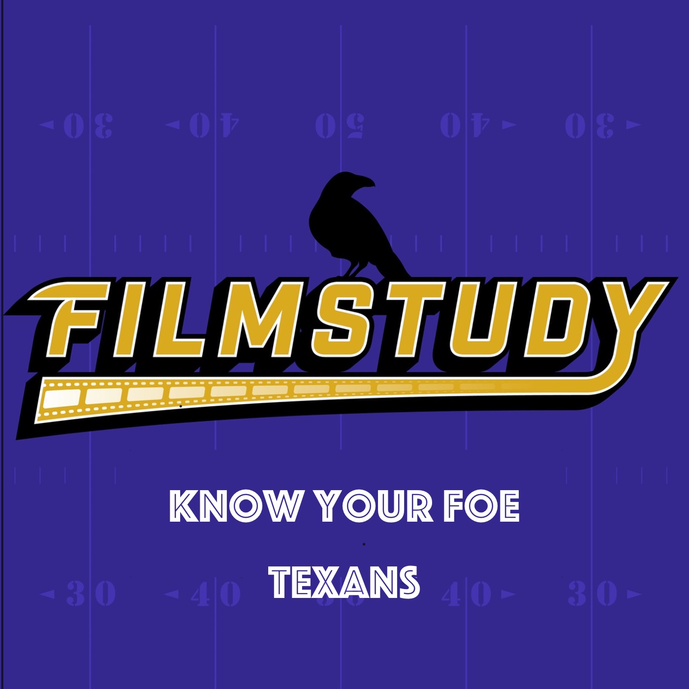 Know Your Foe : Texans Divisional Round 2024 episode artwork