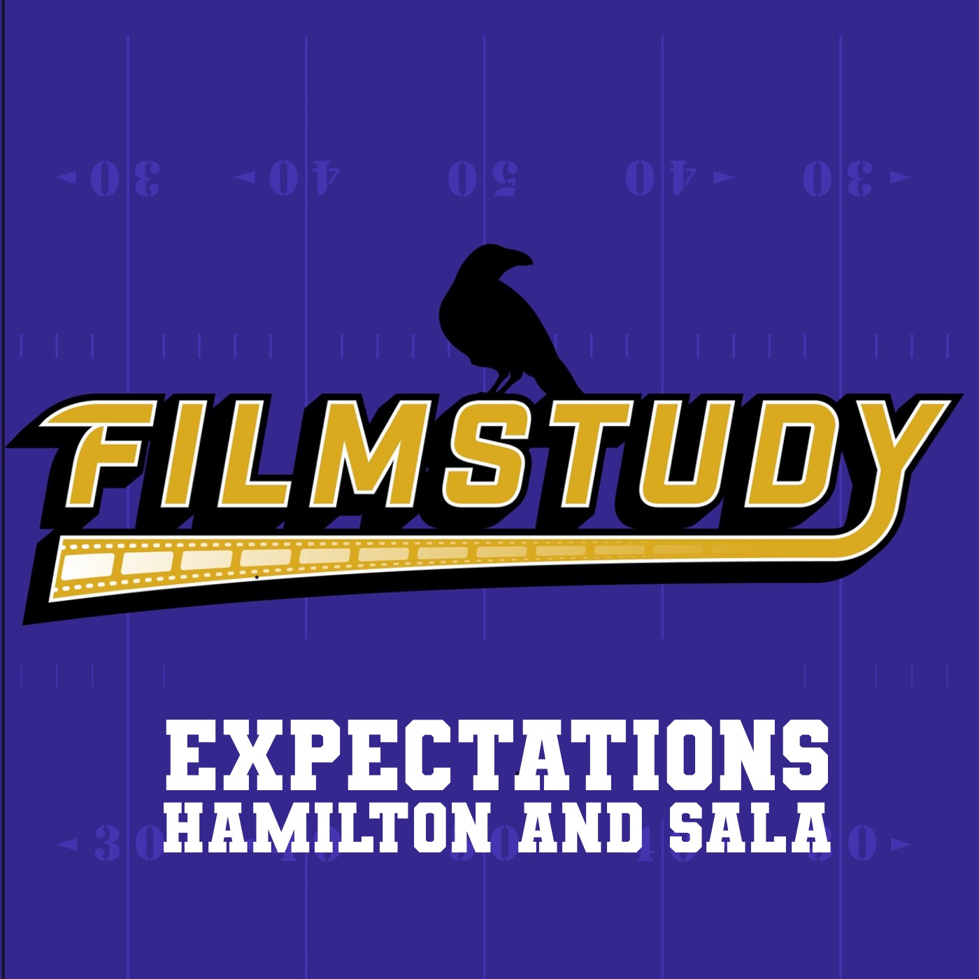 Expectations Hamilton and Sala 2024 episode artwork