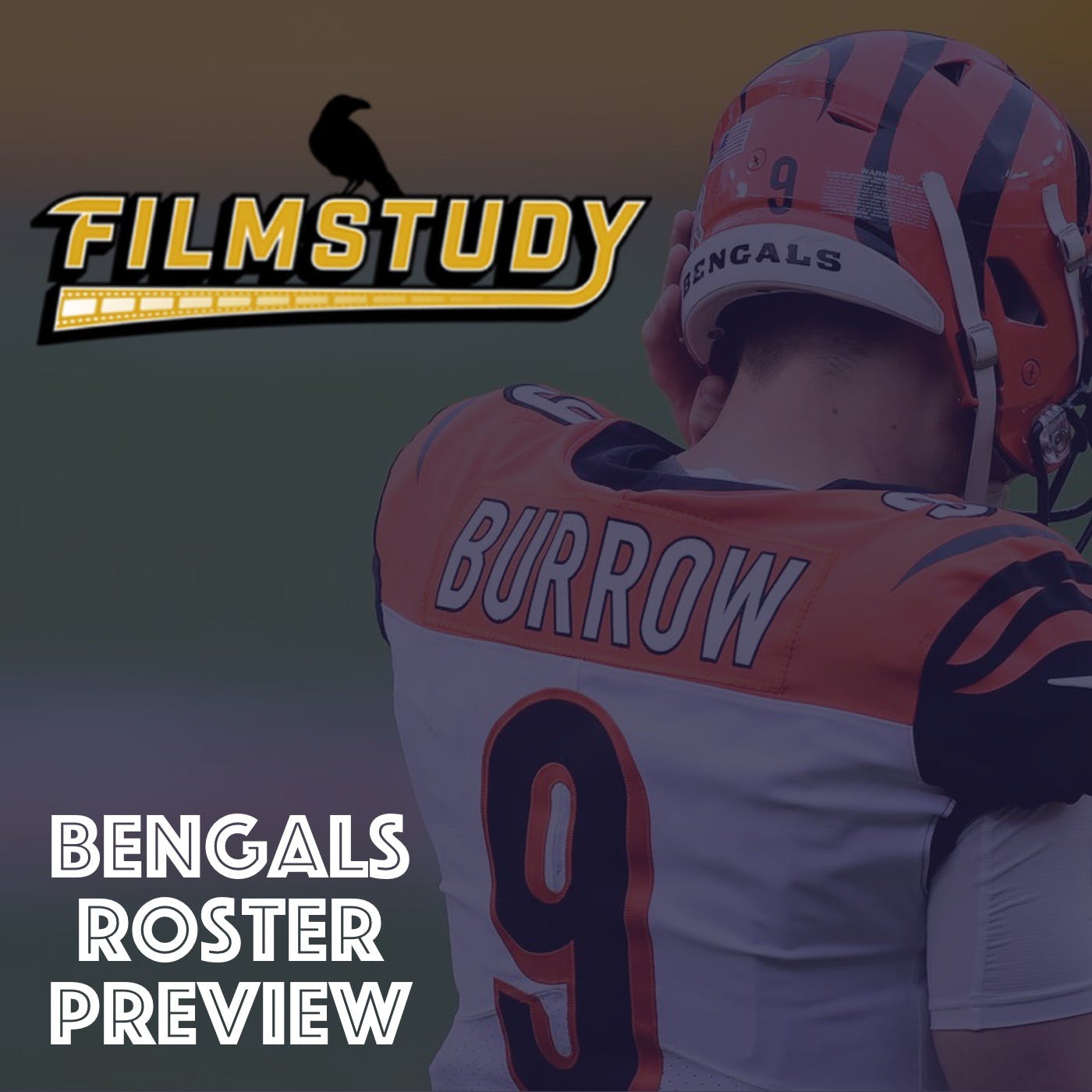 Bengals Roster Preview 2021