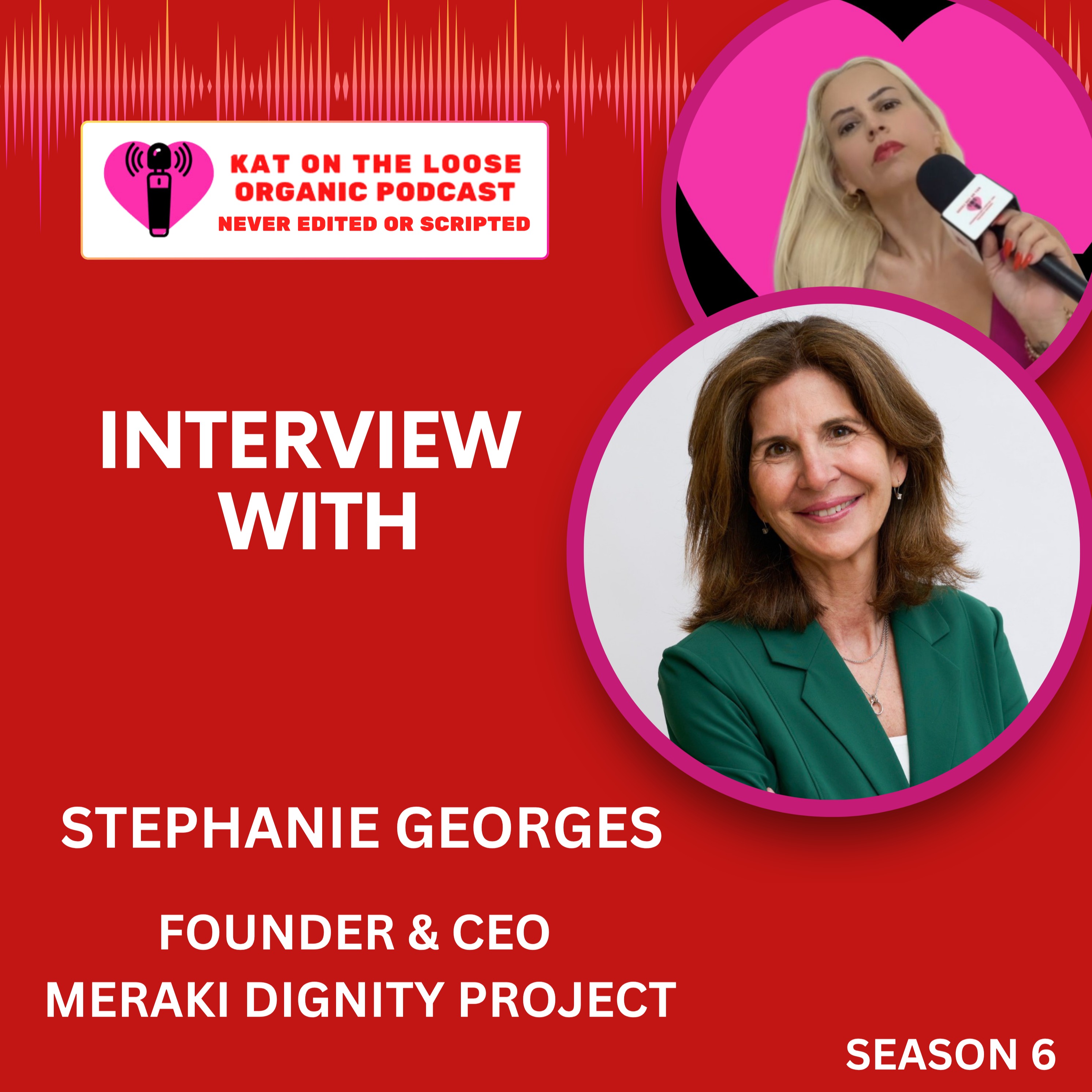 MERAKI DIGNITY PROJECT episode artwork