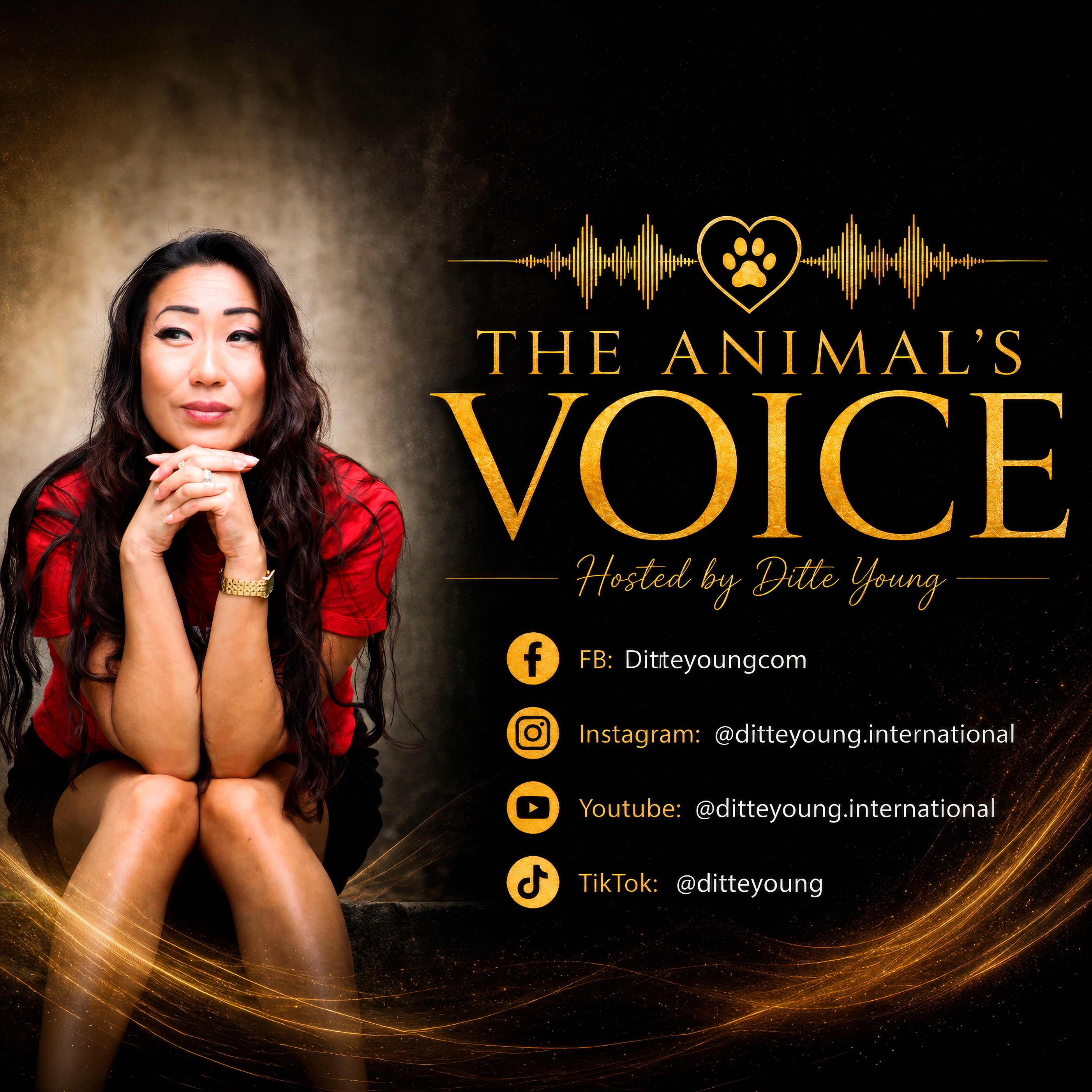The Animals Voice
