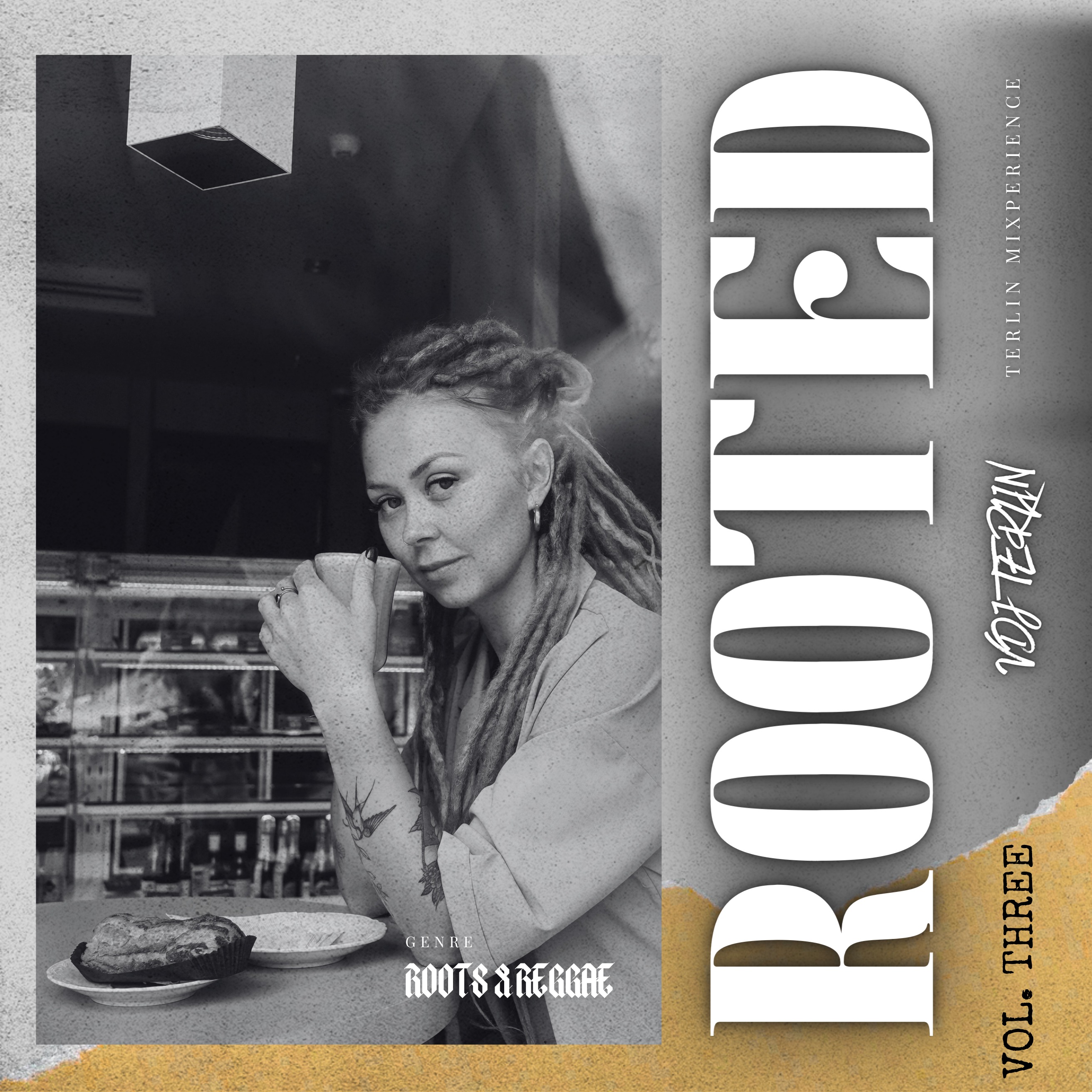 Rooted Vol 3 - VDJ TERLIN episode artwork