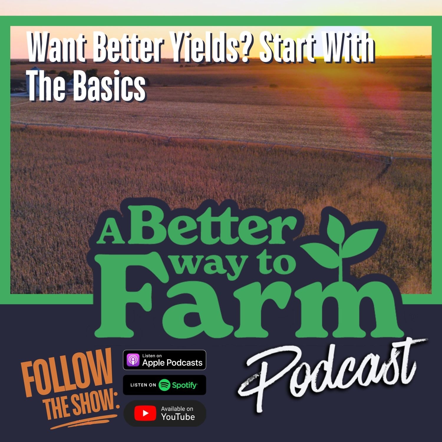 378: Want Better Yields? Start With The Basics