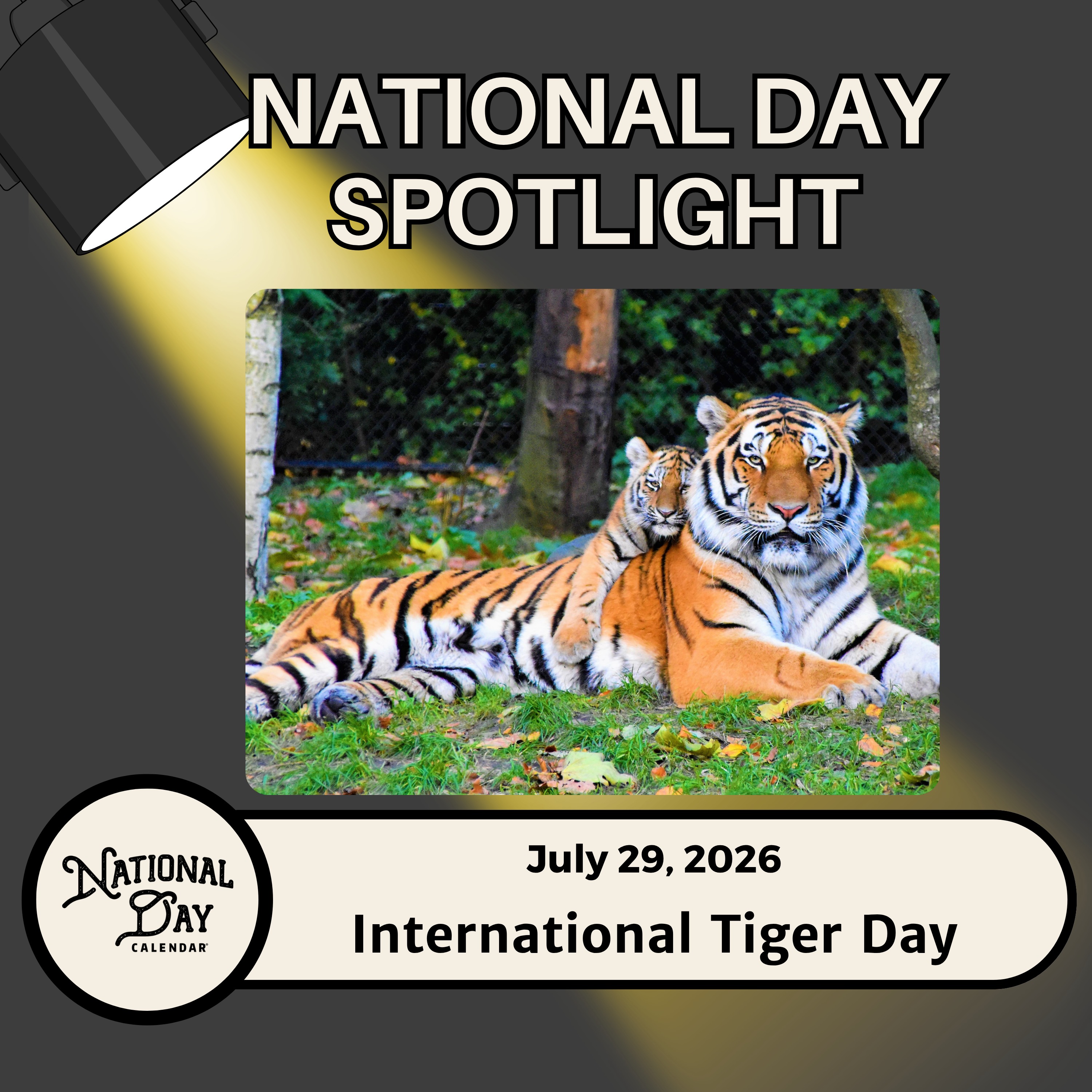 International Tiger Day