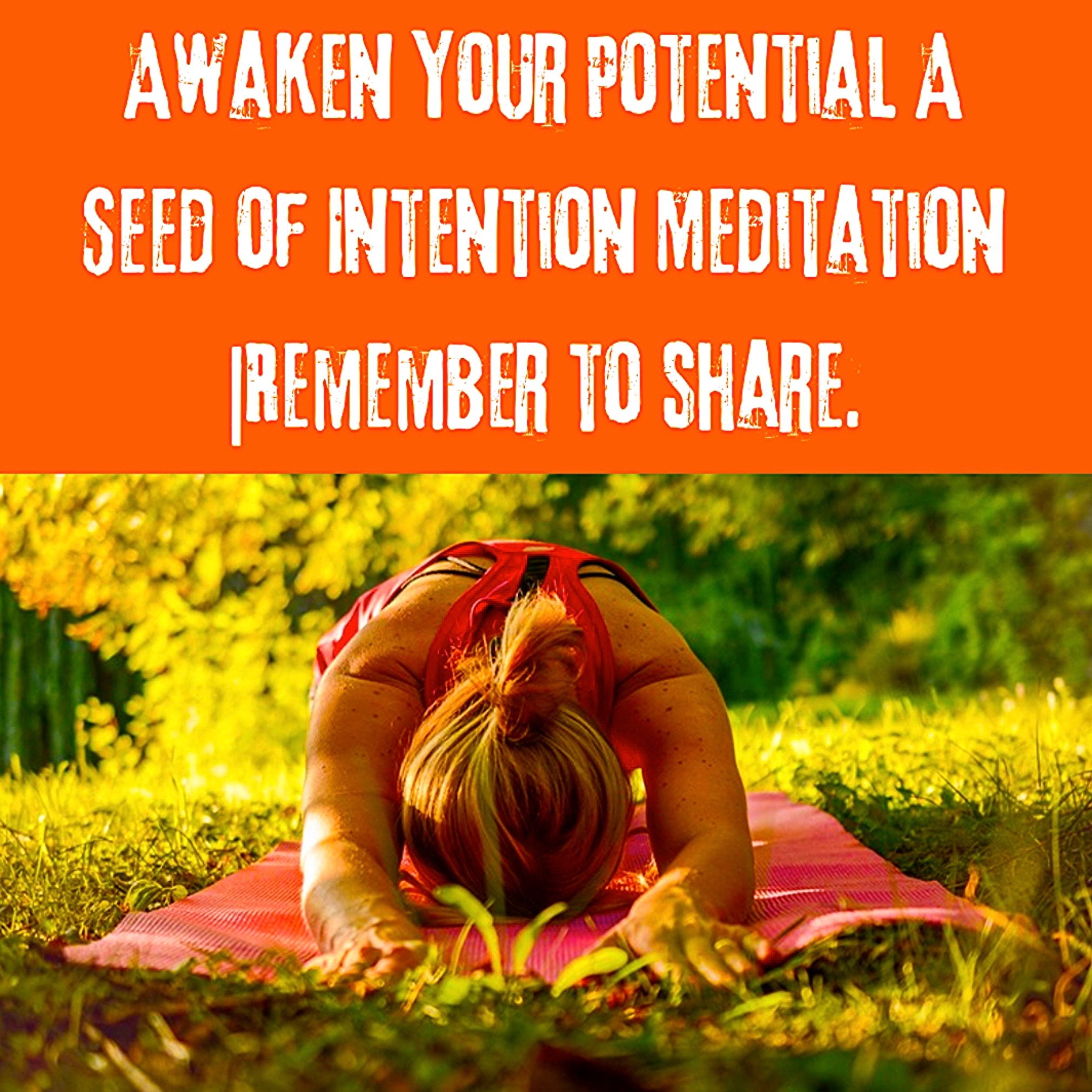 Awaken Your Potential A Seed of Intention Meditation |Remember to share. episode artwork