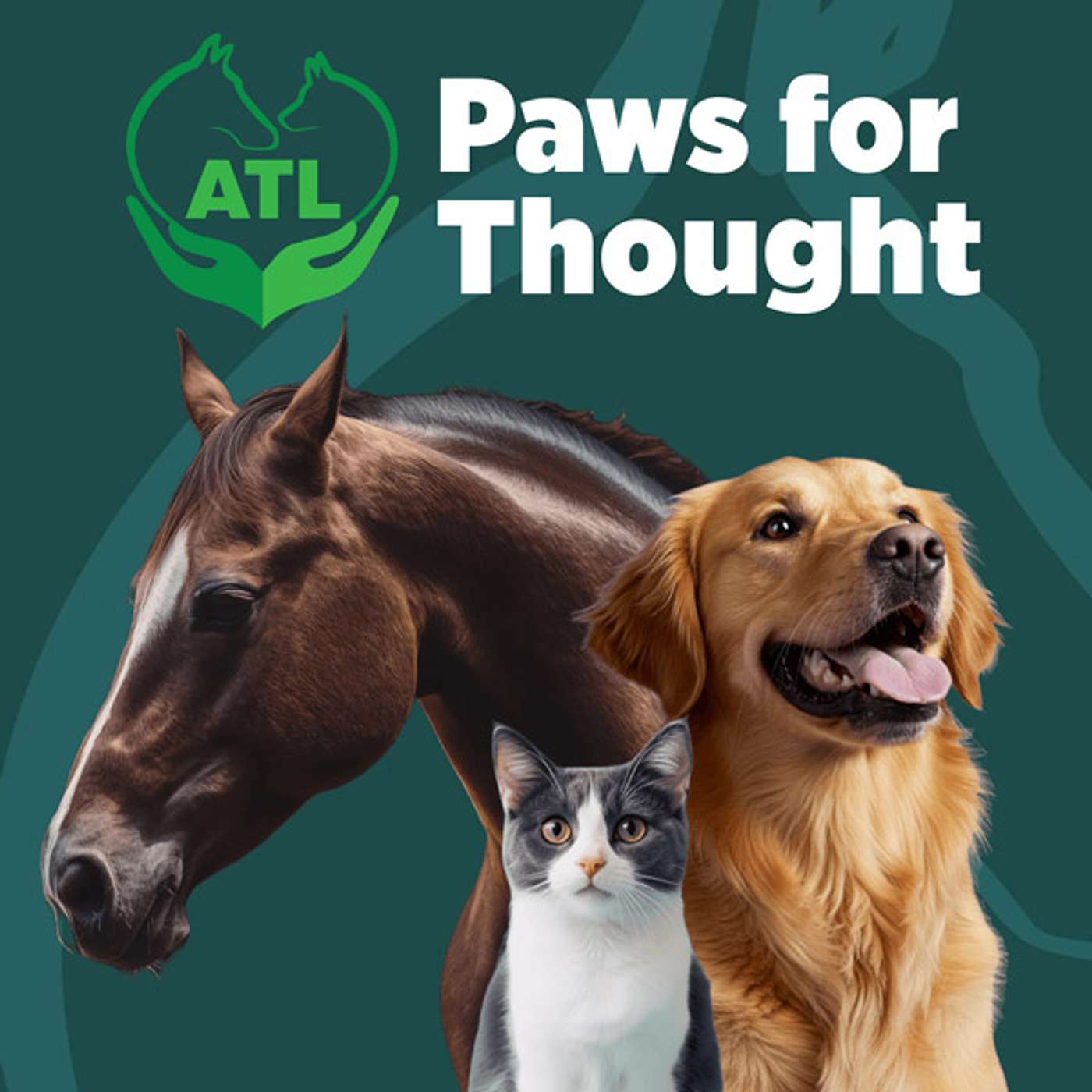Animal Therapies Ltd Paws for Thought podcast artwork