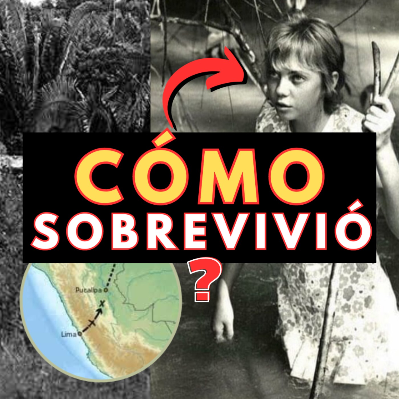 Cómo SOBREVIVIR a un ACCIDENTE de AVIÓN en la SELVA AMAZÓNICA 💀🔴