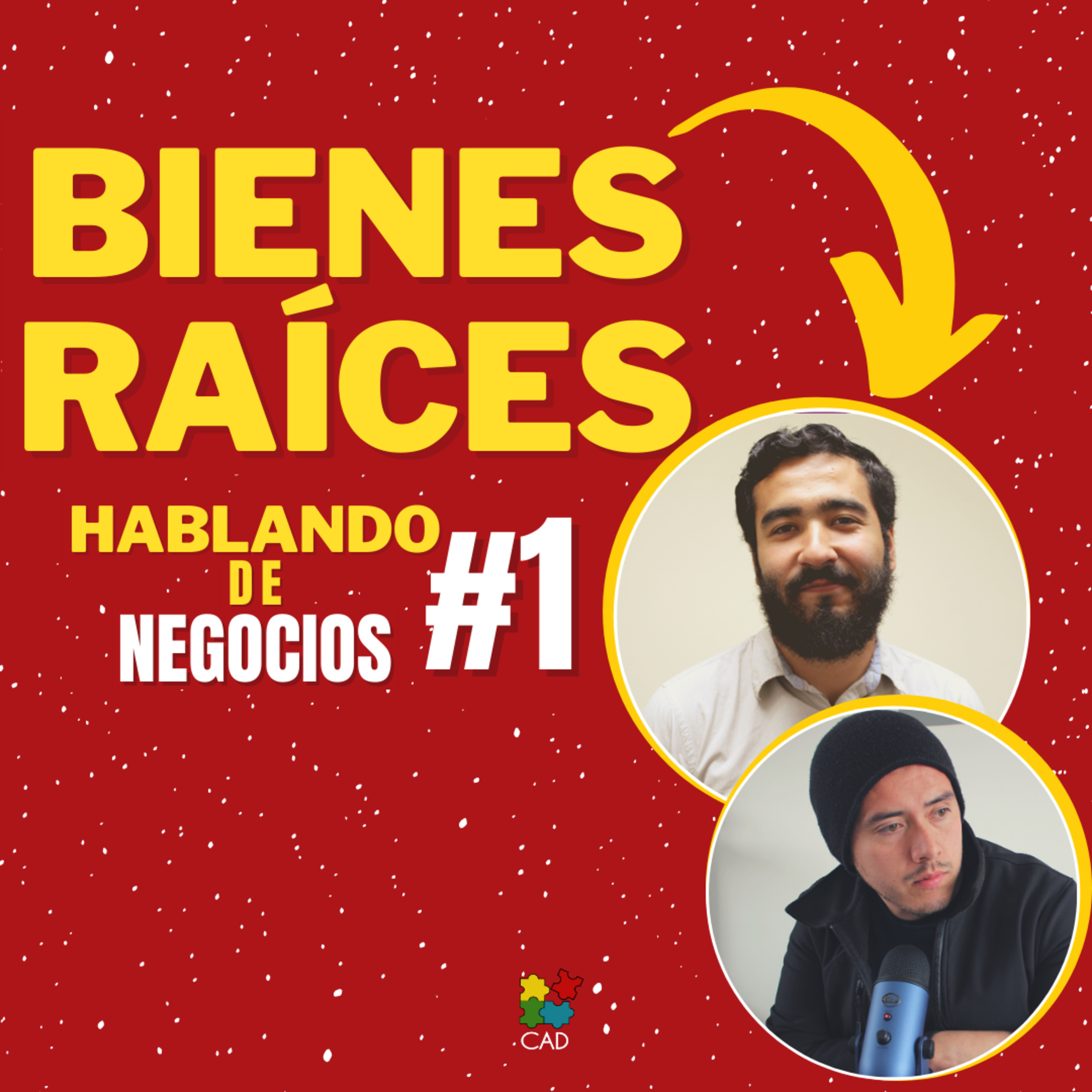 CÓMO EMPEZAR en BIENES RAÍCES 🔴 Experiencias de un asesor inmobiliario 🔴 Hablando de NEGOCIOS #1