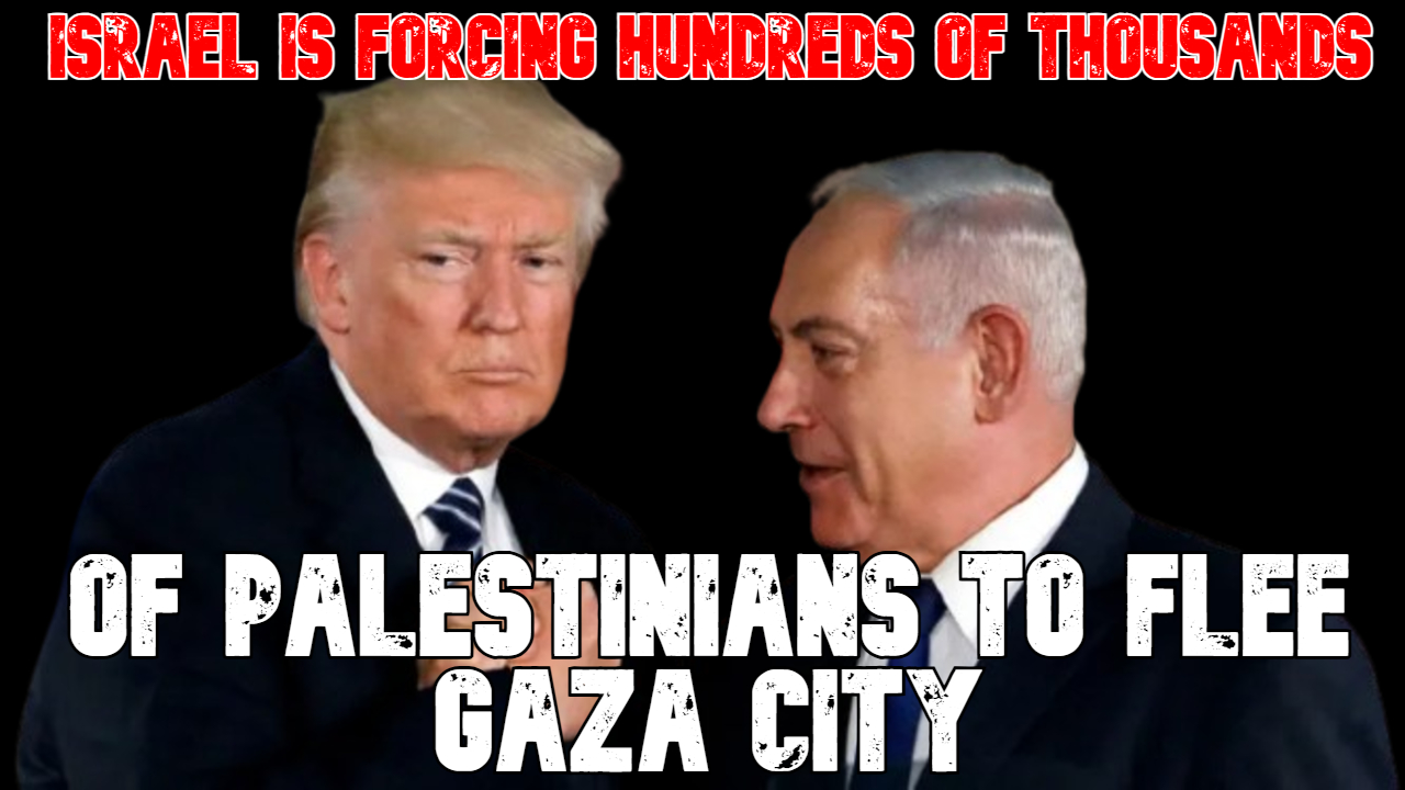 Israel Is Forcing Hundreds of Thousands of Palestinians to Flee Gaza City episode artwork