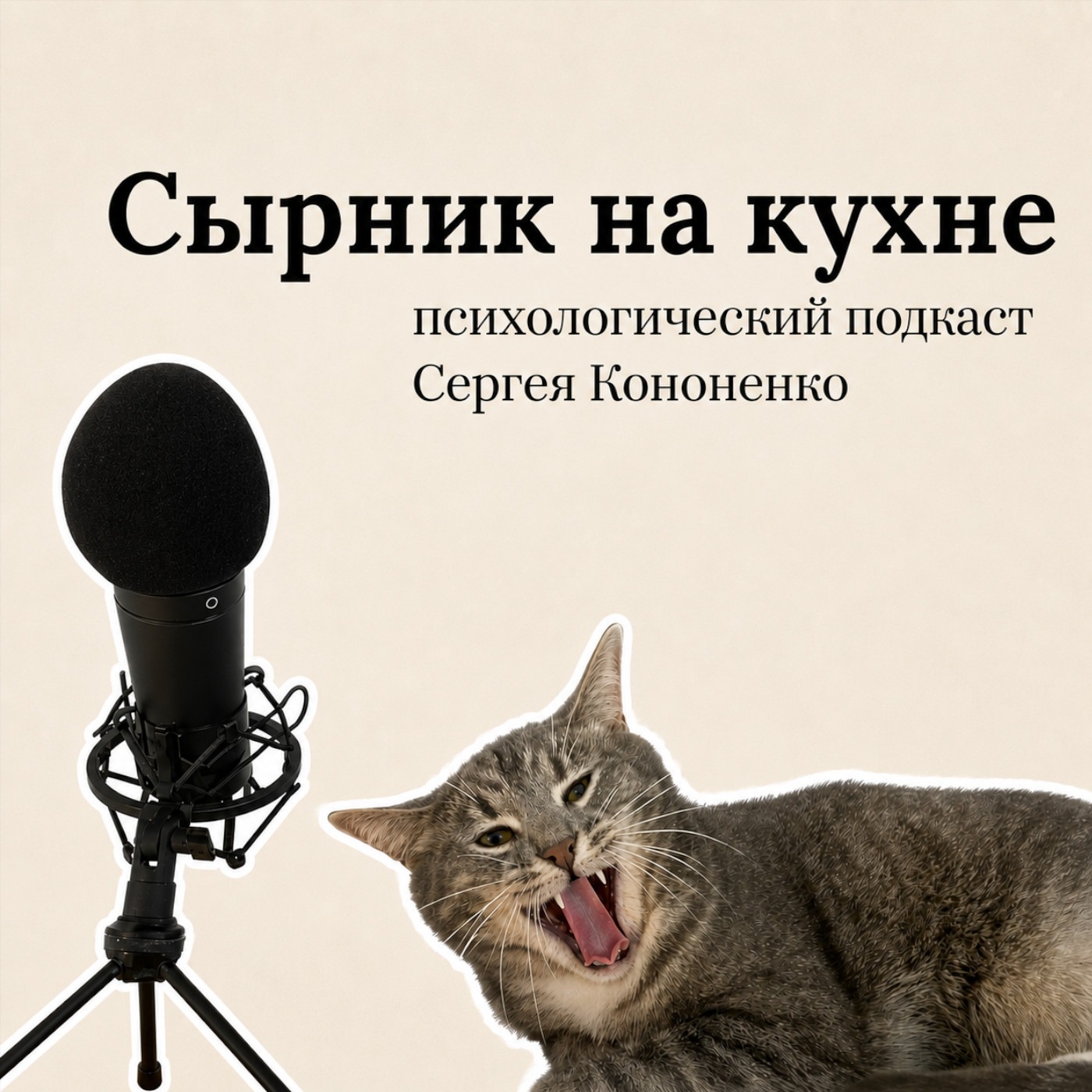 Audio Player Image
