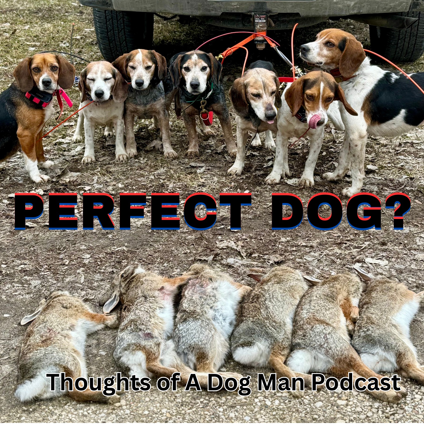 Different Dogs... For Different People episode artwork