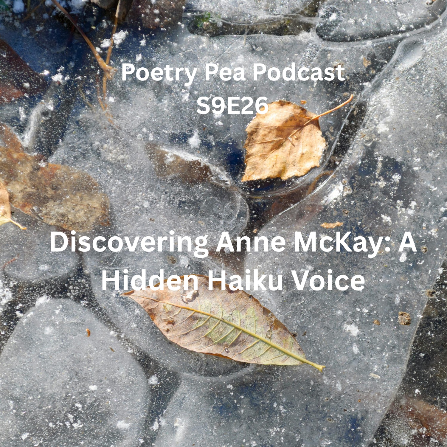 S9E26 Discovering Anne McKay: A Hidden Haiku Voice