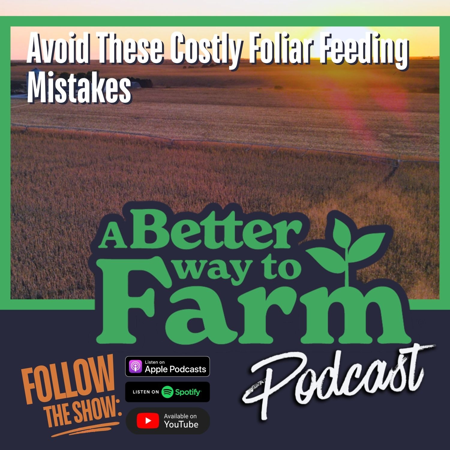 376: How To Avoid Costly Foliar Feeding Mistakes