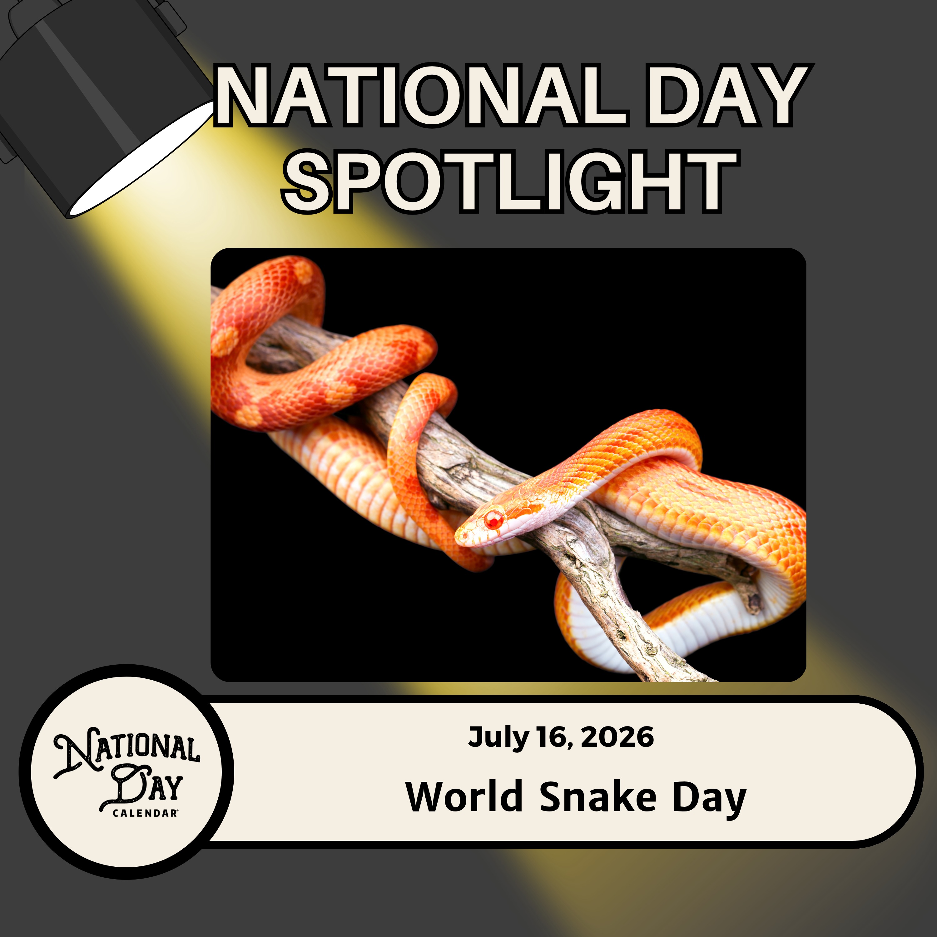 World Snake Day
