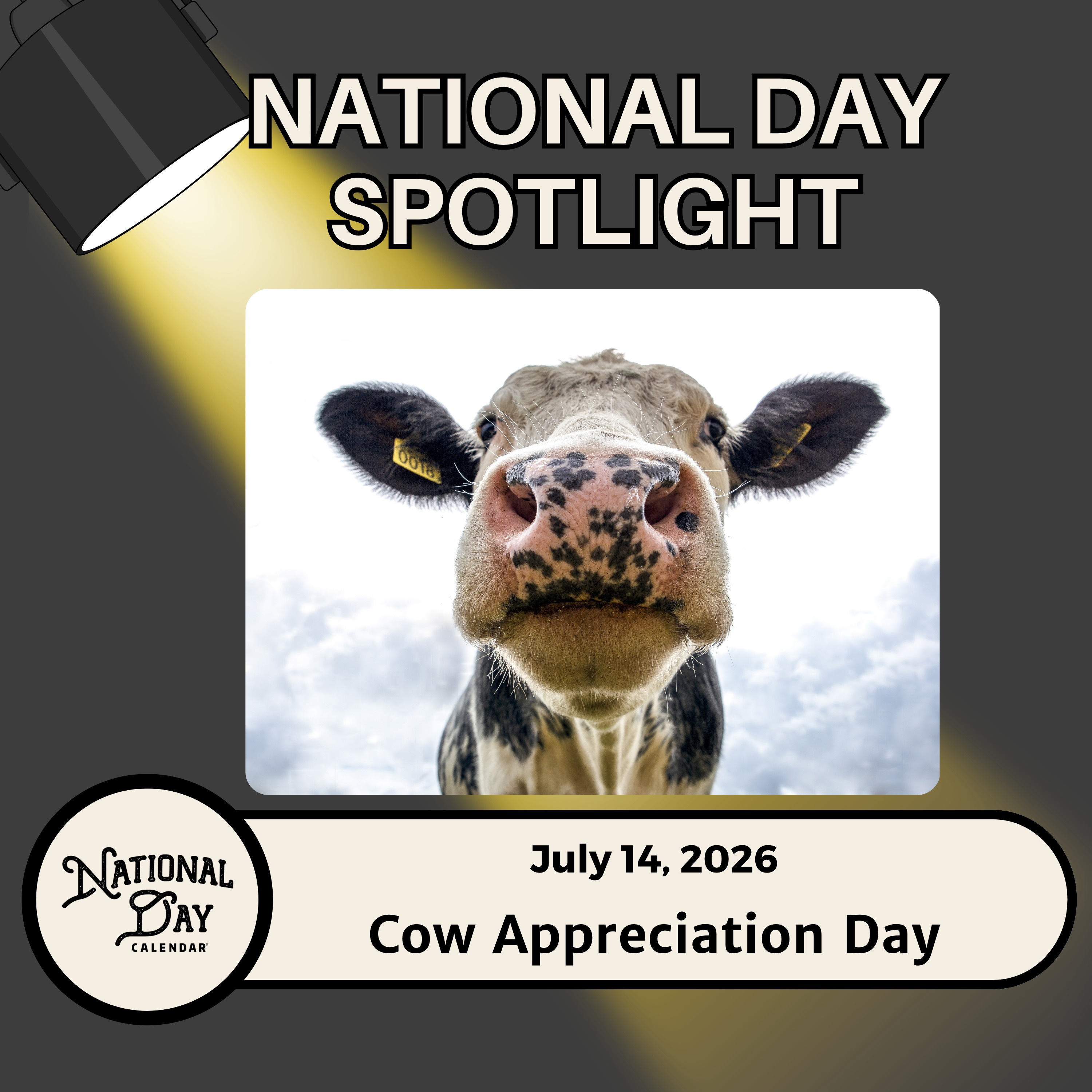 Cow Appreciation Day