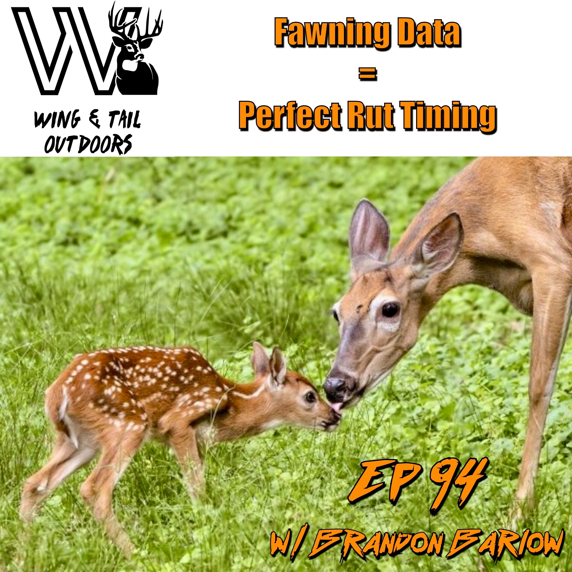 Wing & Tail Outdoors - Fawning Data: Perfect Rut Timing w/ Brandon Barlow episode artwork