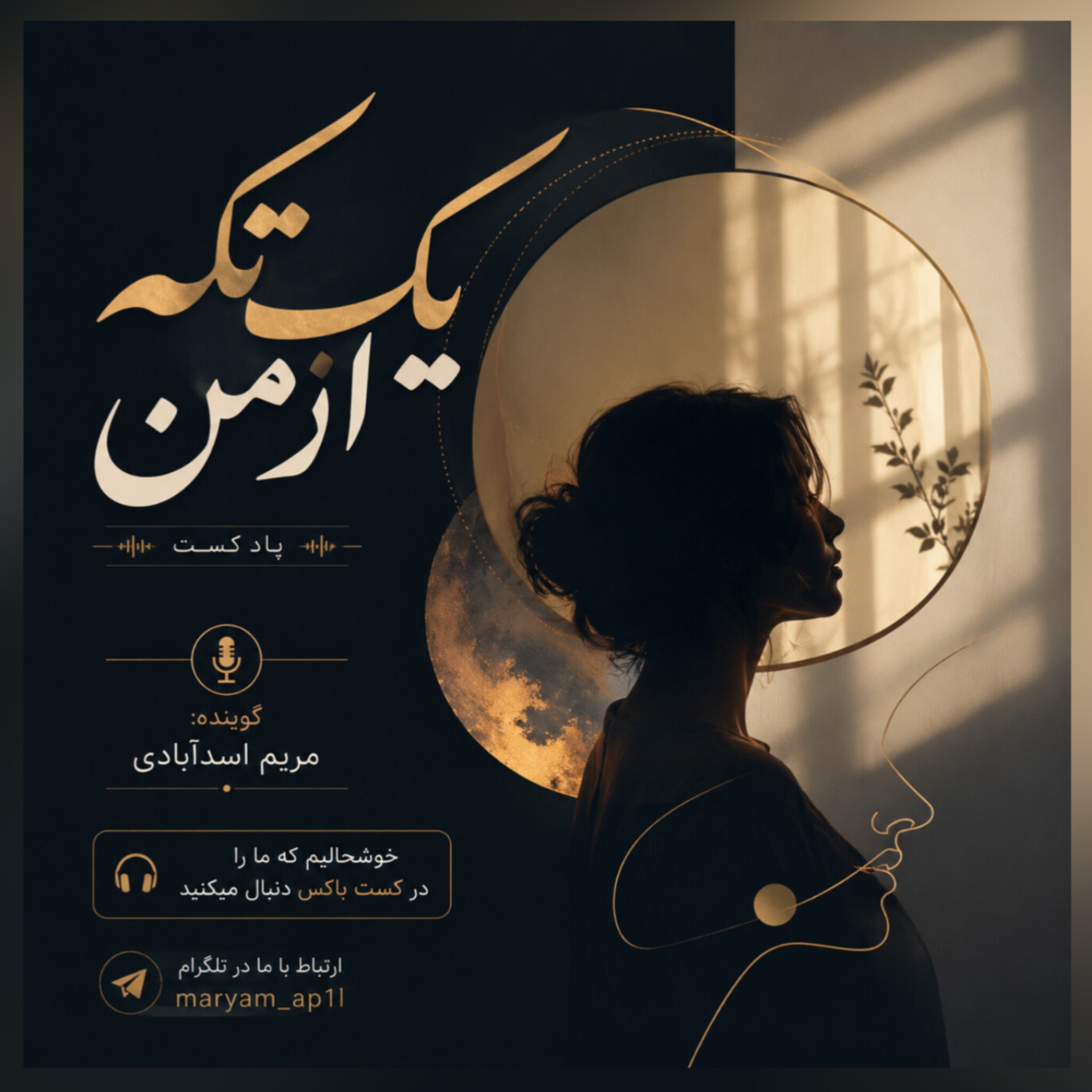 Audio Player Image
