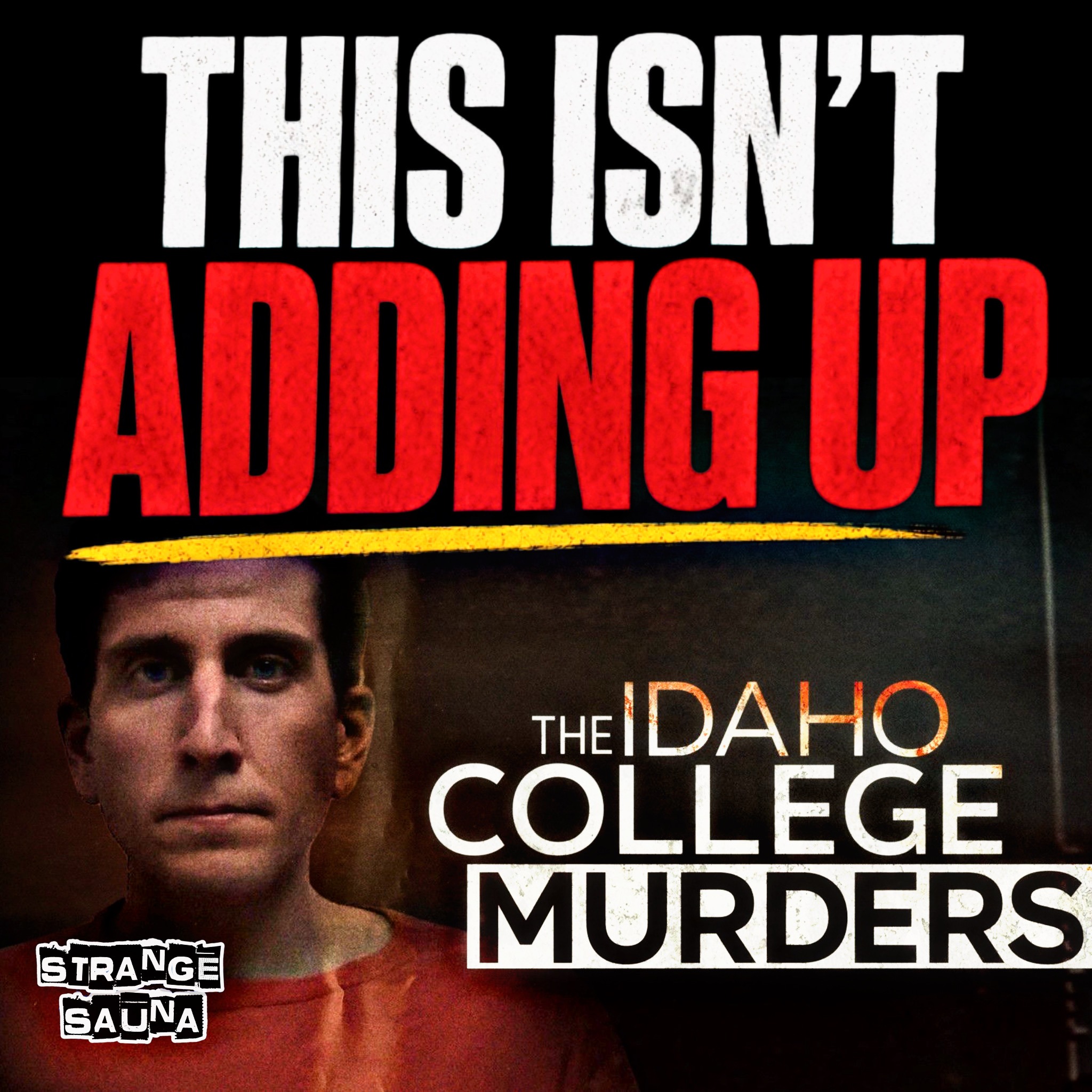 The Idaho College Murders Are NOT Adding Up!!! episode artwork
