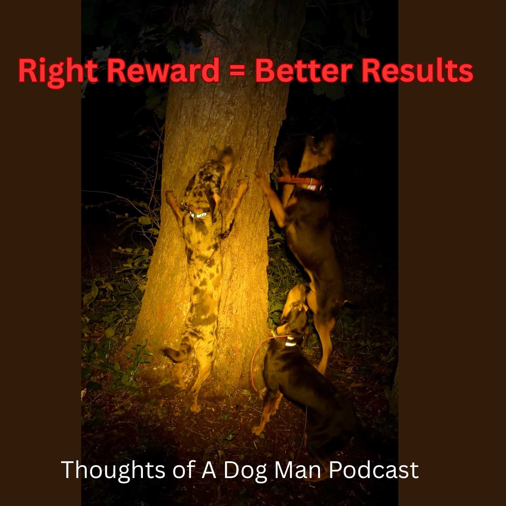 Do You Know What Motivates Your Dog? episode artwork