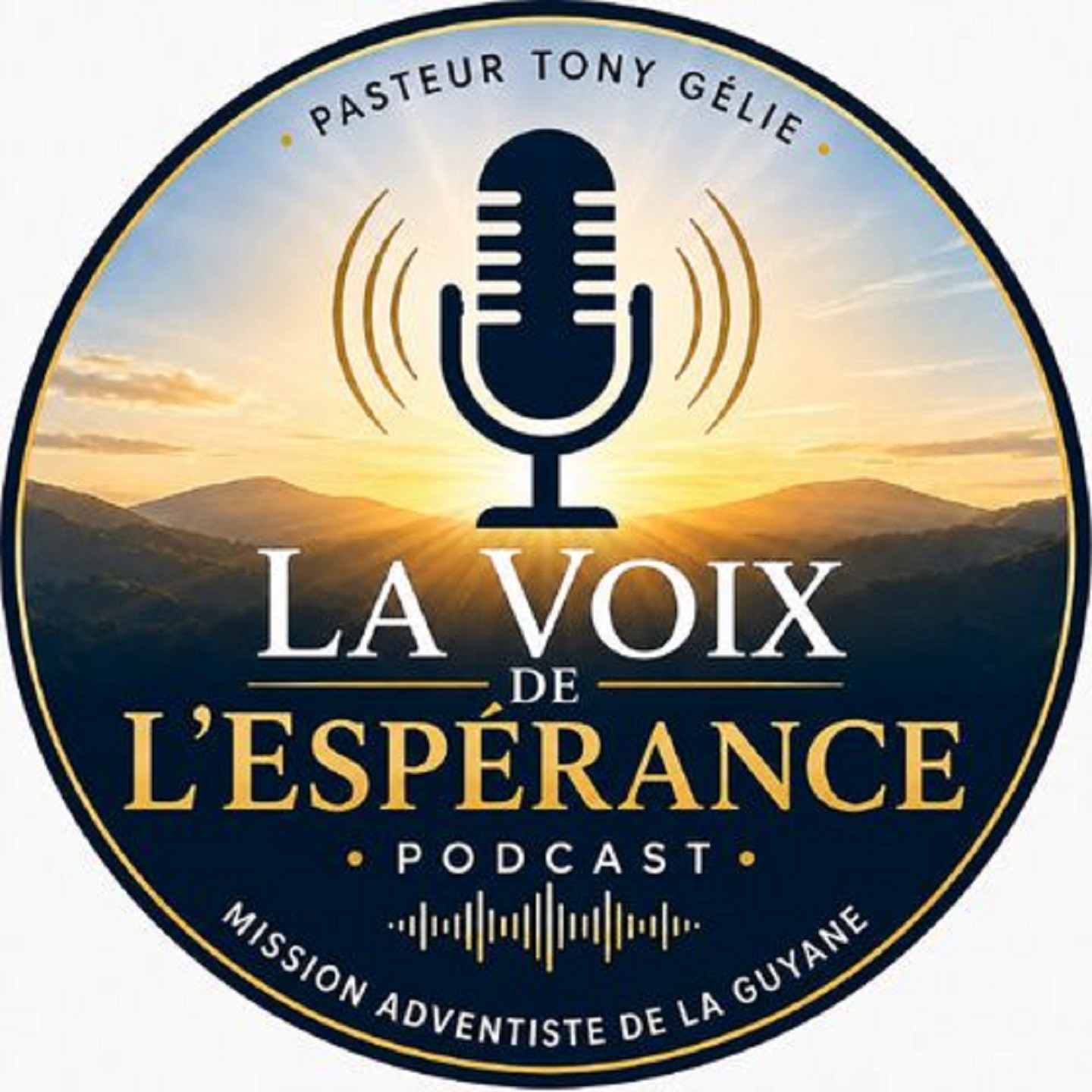 VDE 228 - Tempérance episode artwork
