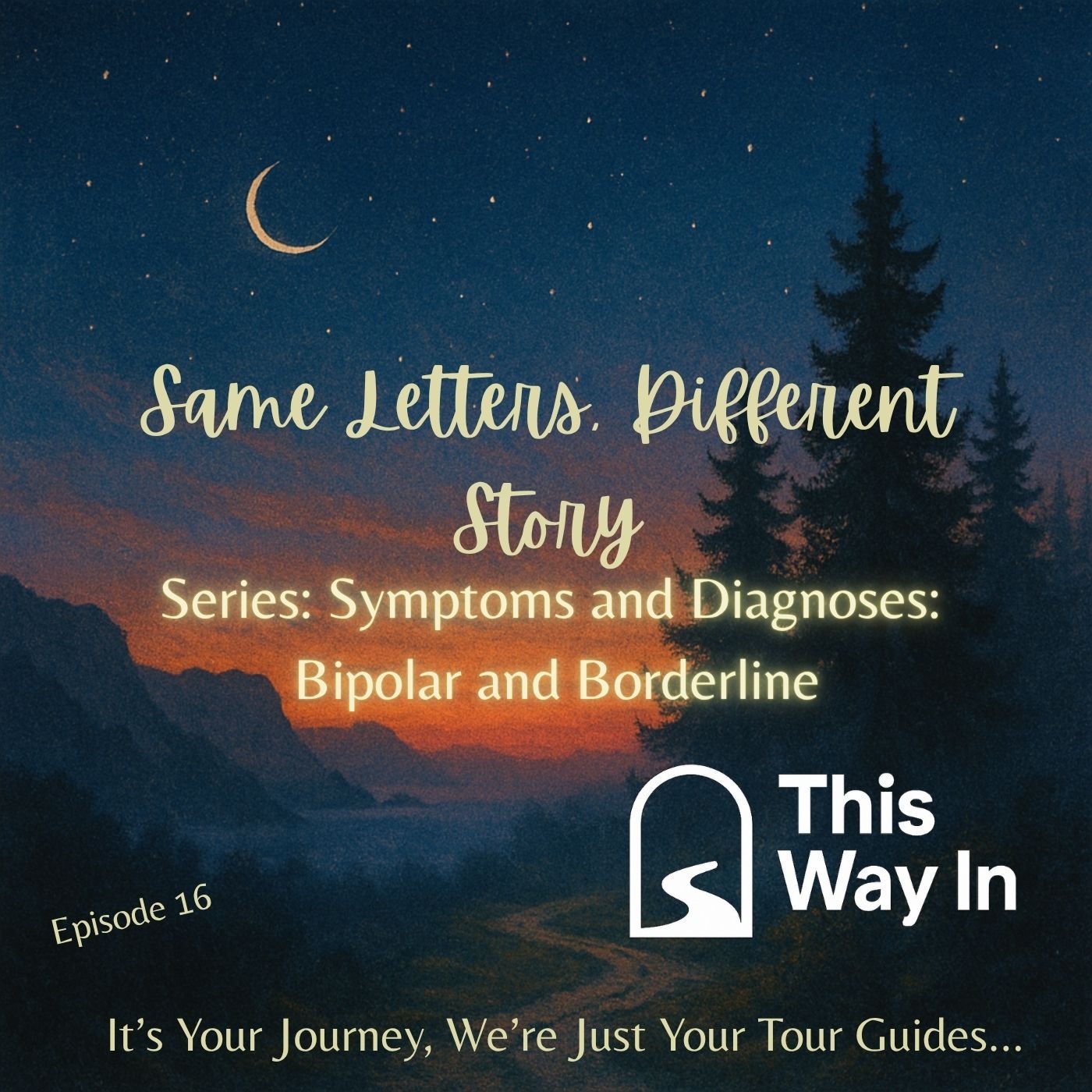 16: Same Letters, Different Story (Symptoms & Diagnoses for Borderline Personality and Bipolar Disorders)