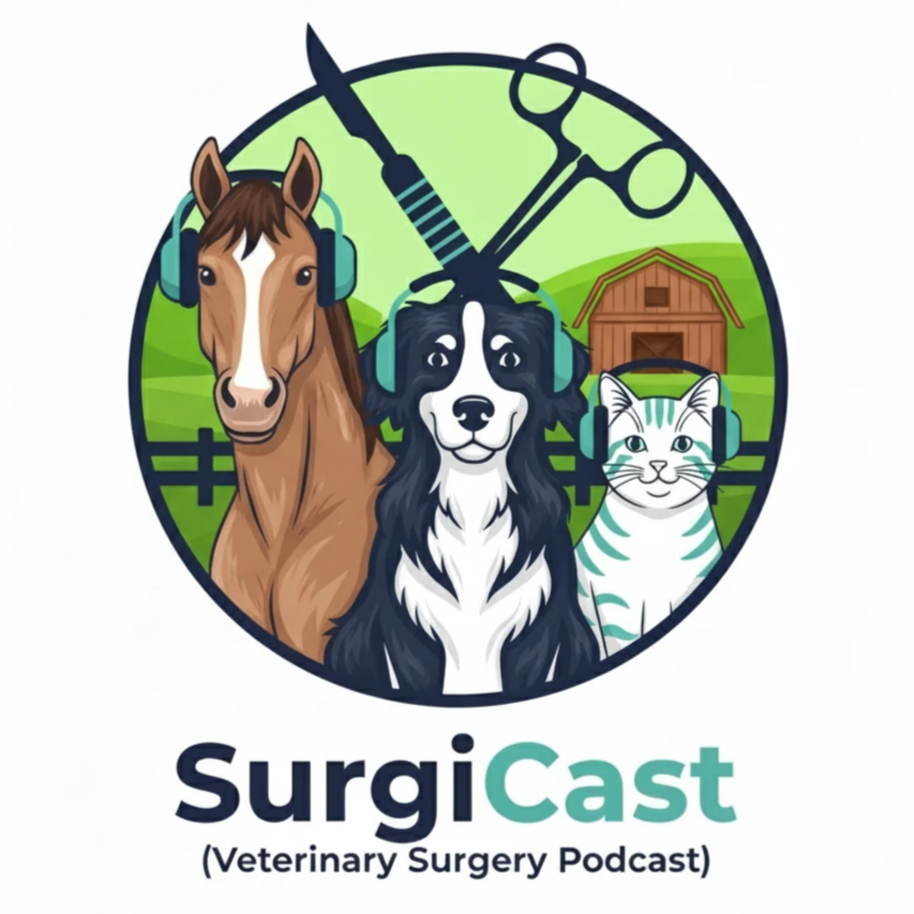 Vetsurgicast podcast artwork