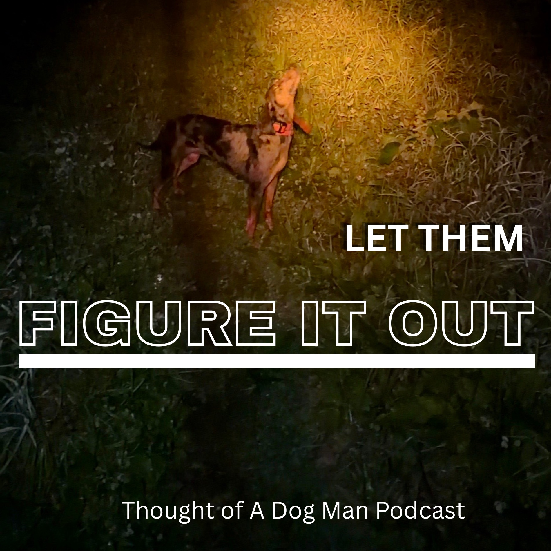 Are You Helping That Young Dog Too Much? episode artwork