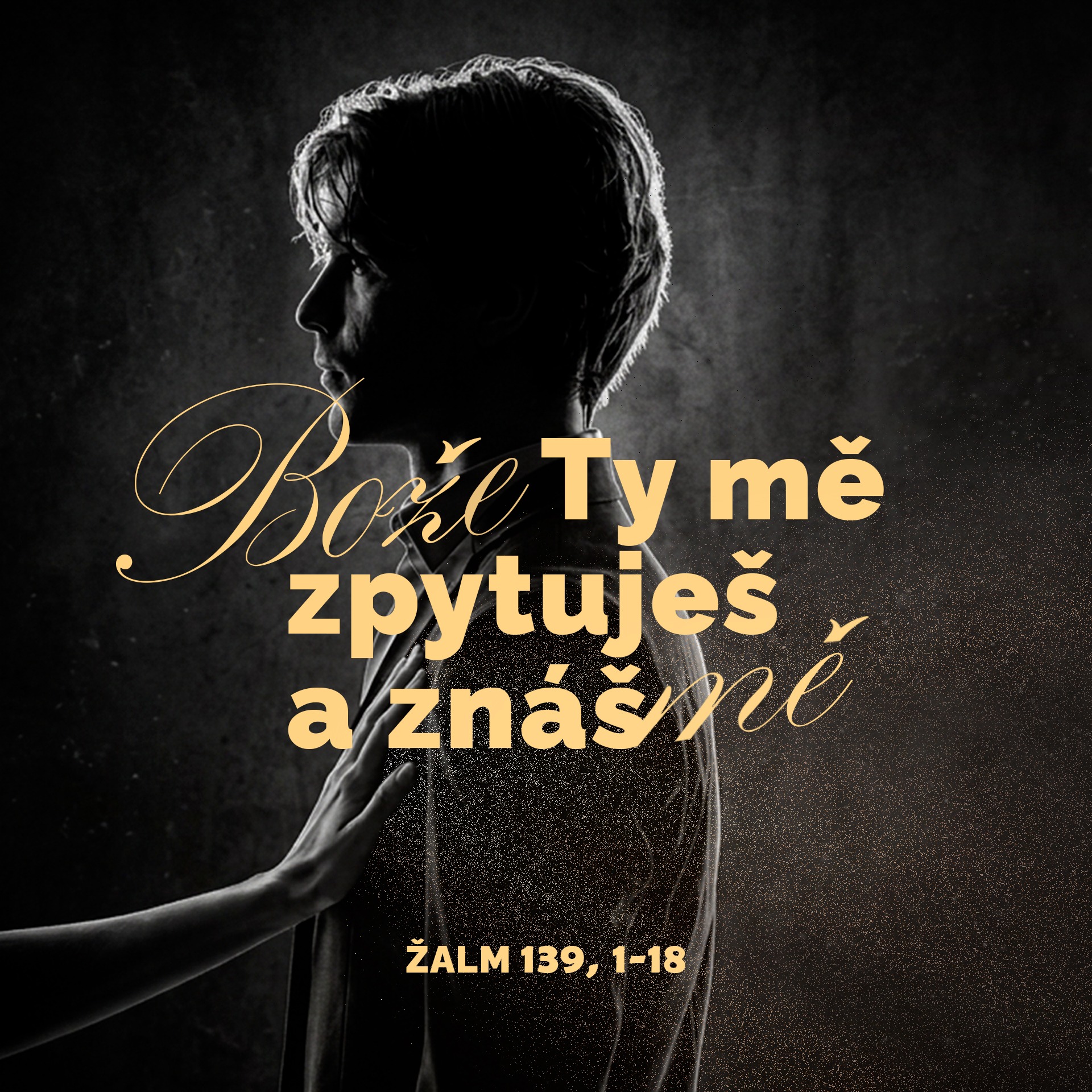 Kostel v parku