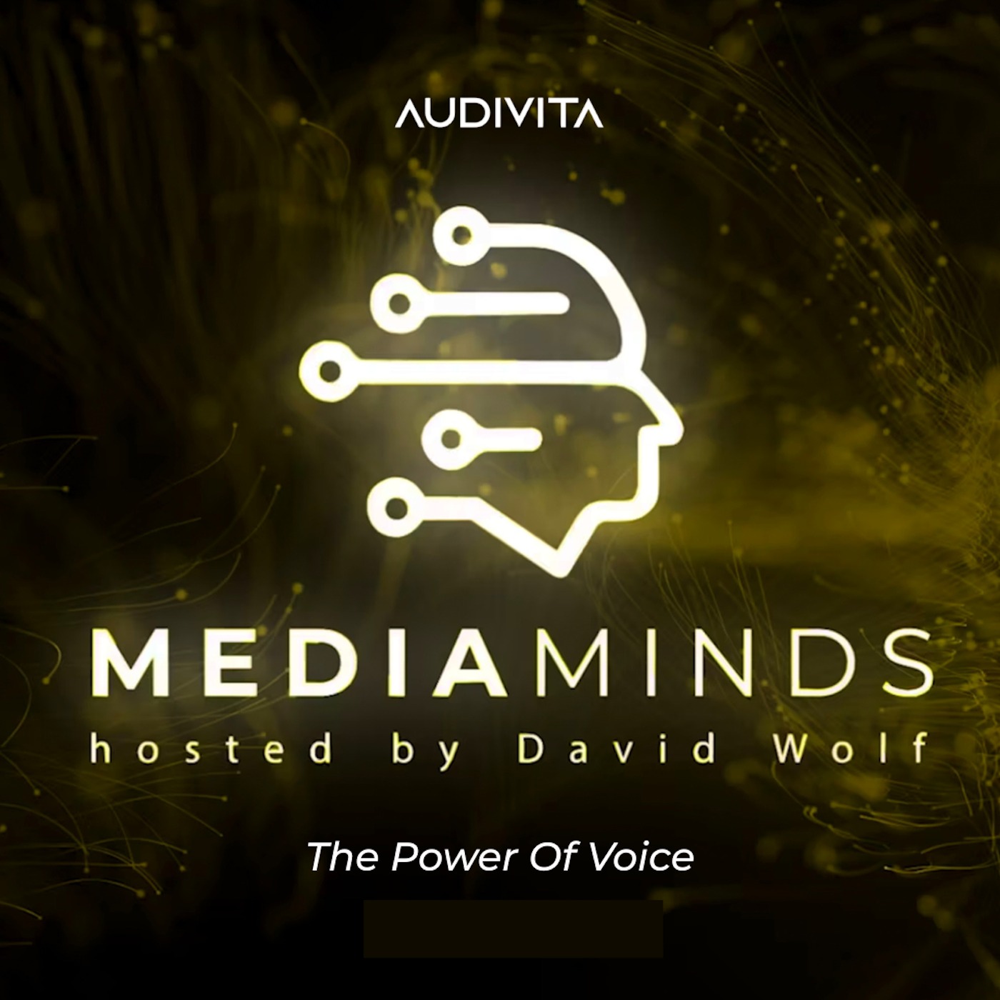 Audio Player Image