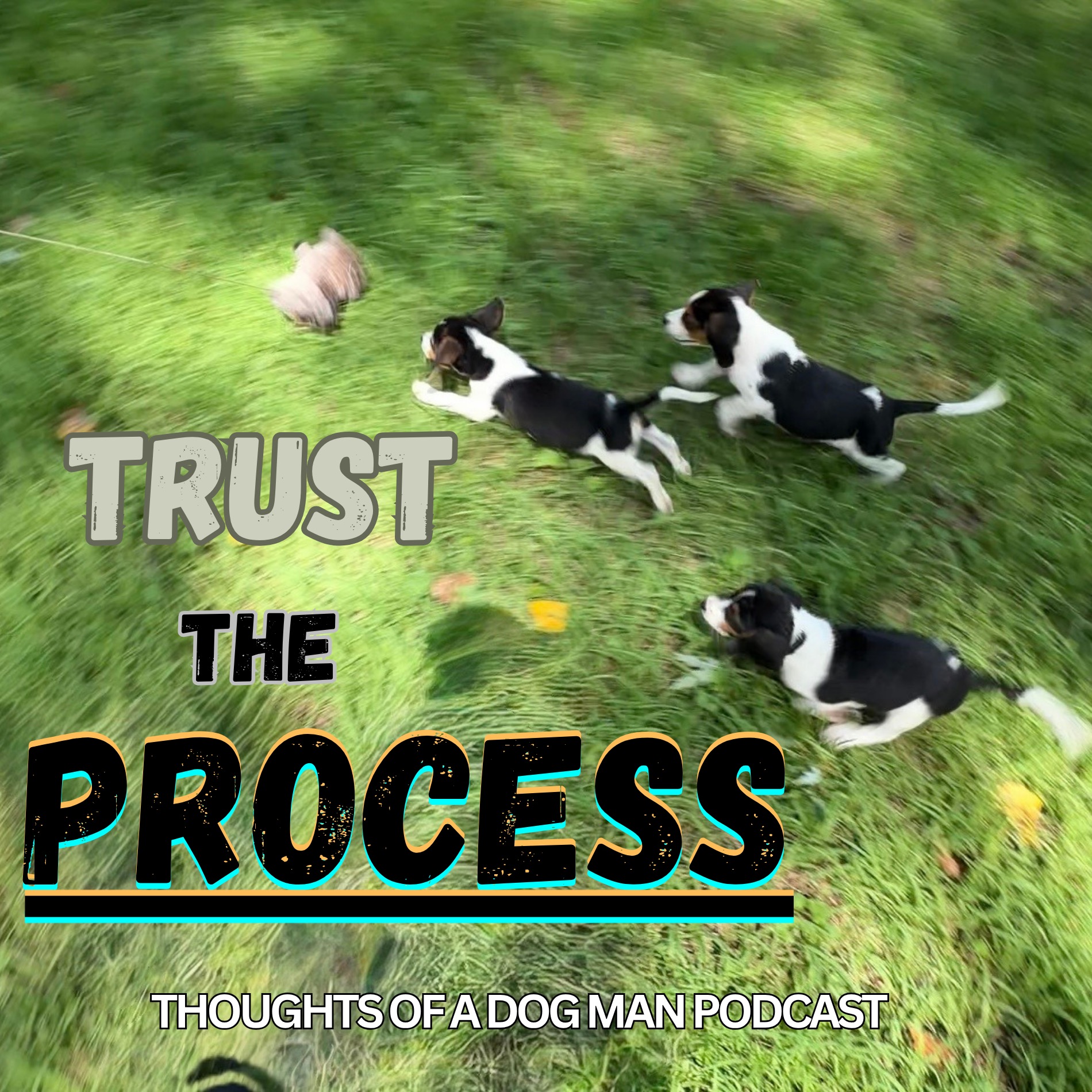 Practice What You Preach episode artwork