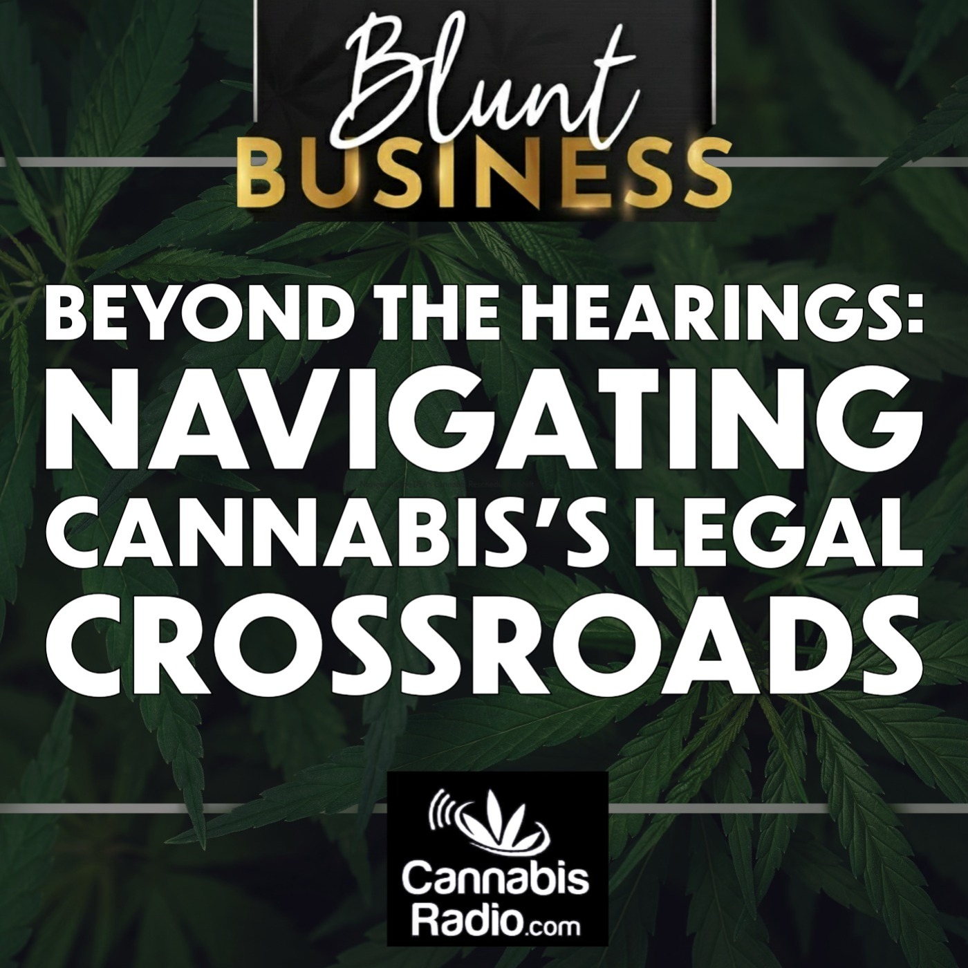 Beyond the Hearings: Navigating Cannabis's Legal Crossroads episode artwork