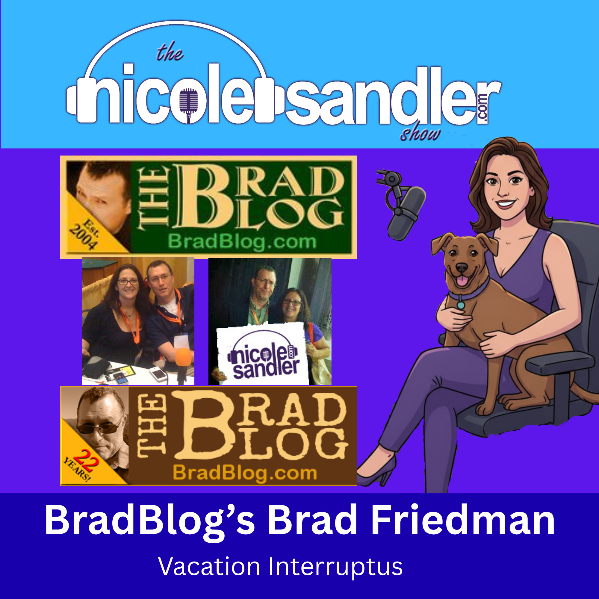 BradBlog's Brad Friedman's Vacation Interruptus (er them...) episode artwork