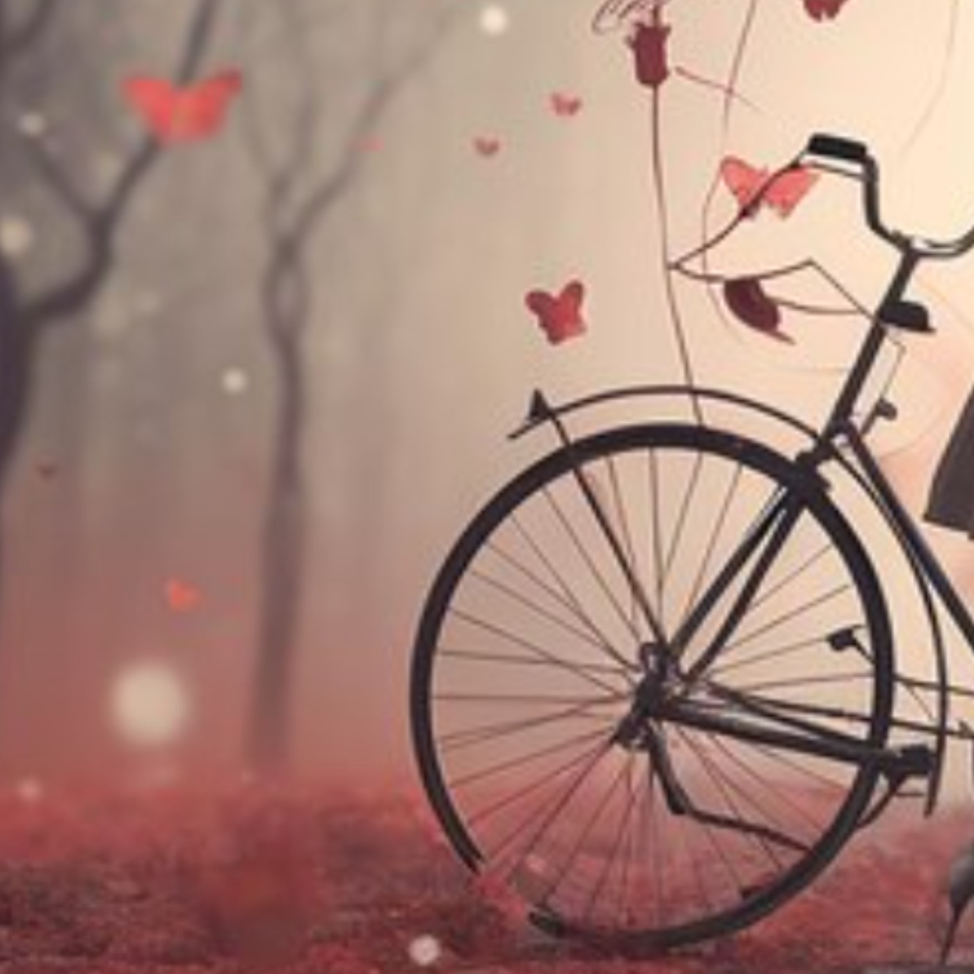 Why ‘Lone Wolf’ Energy Attracts People and How It Impacts Relationships episode artwork