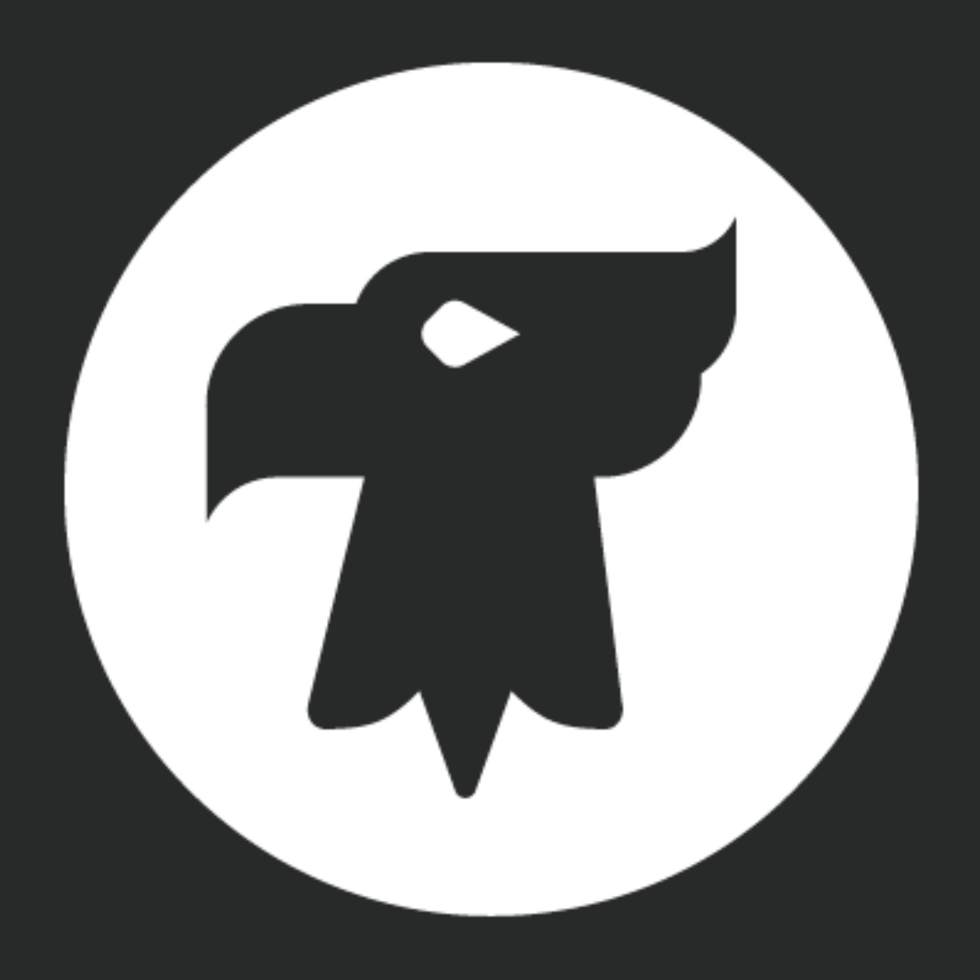 Audio Player Image