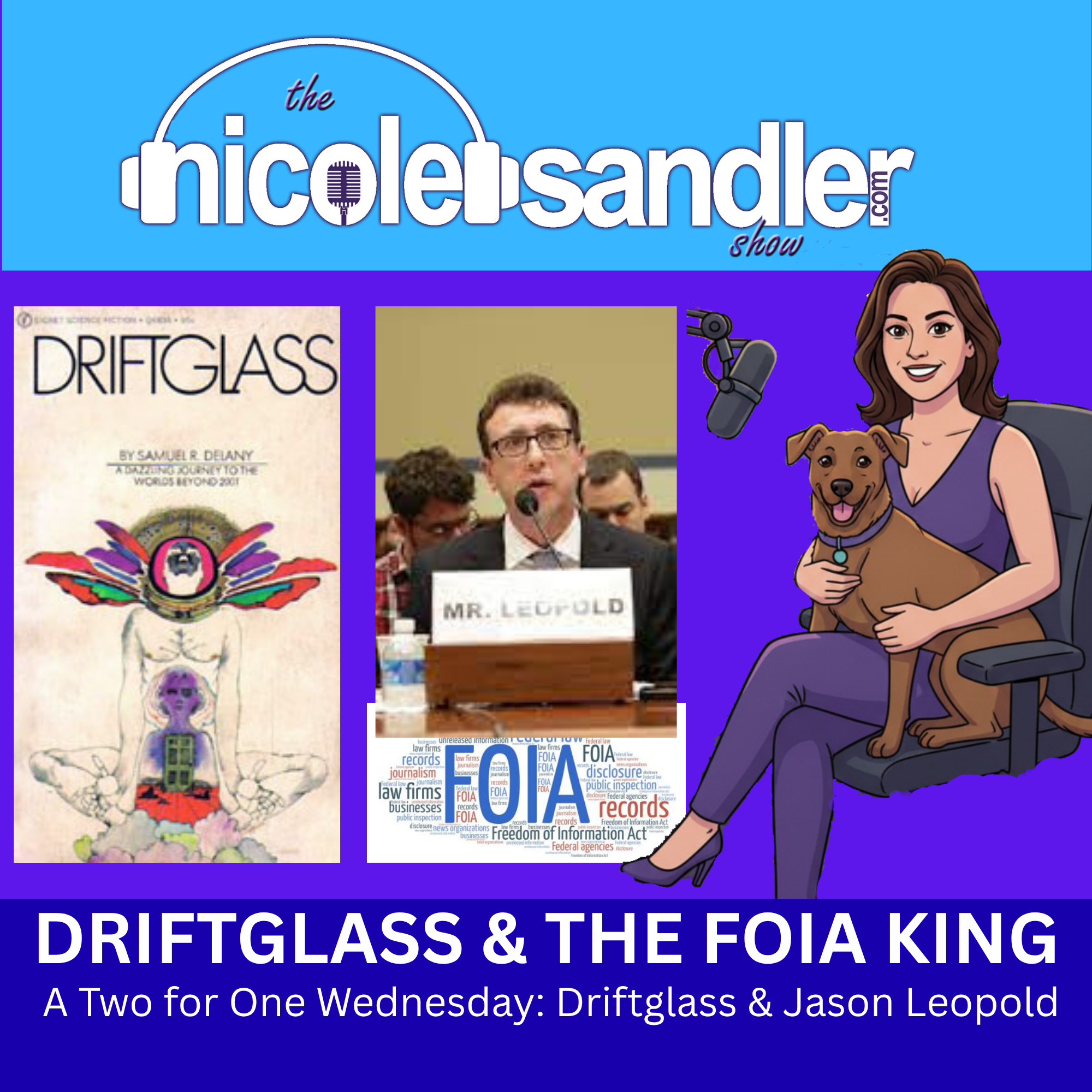 Driftglass and the FOIA King on the Nicole Sandler Show episode artwork