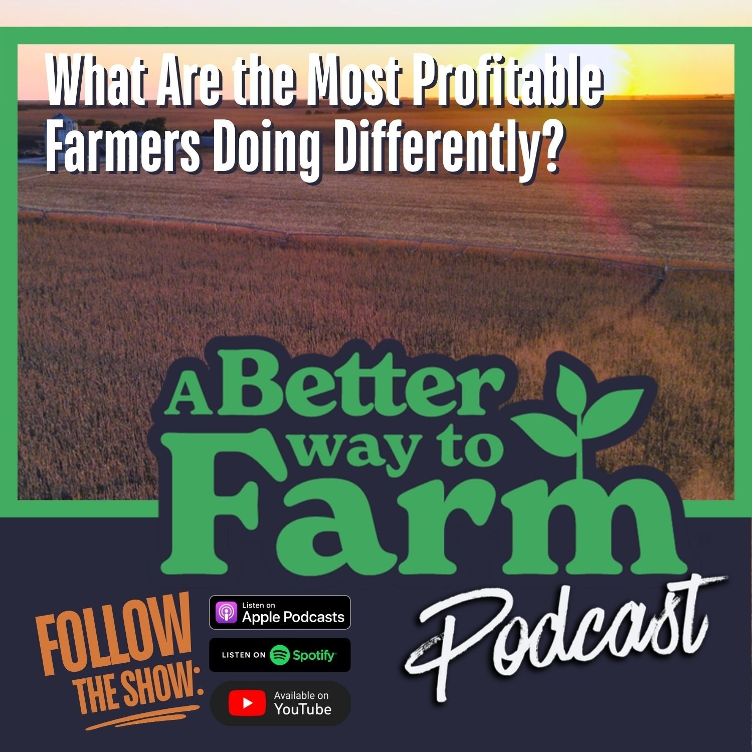 389: What Are the Most Profitable Farmers Doing Differently? episode artwork