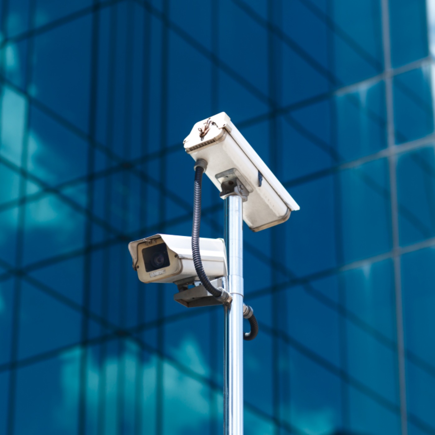 Government Surveillance episode artwork