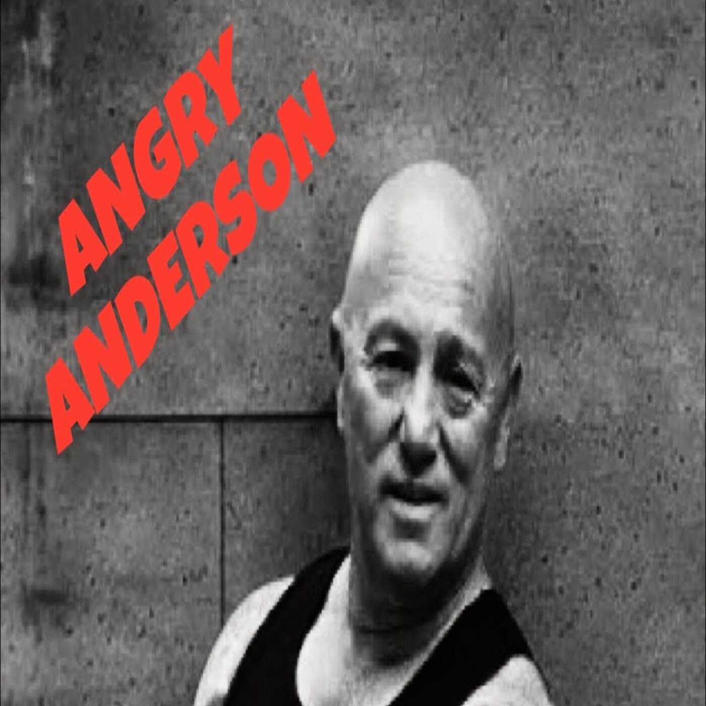 Angry Anderson ‘Realise  Legalise’ New Band & New Single!! episode artwork