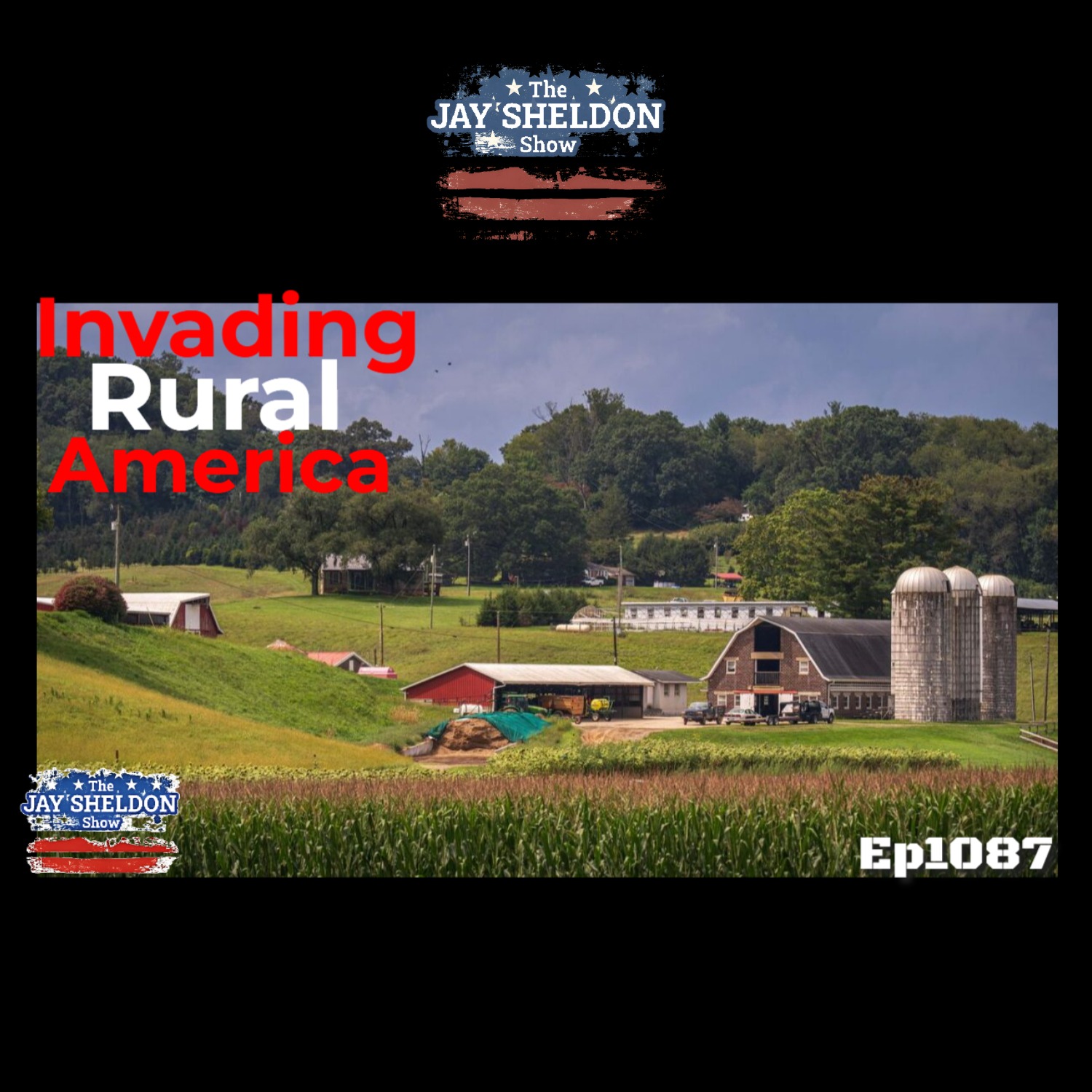 The Democrat Invasion of Your Town episode artwork