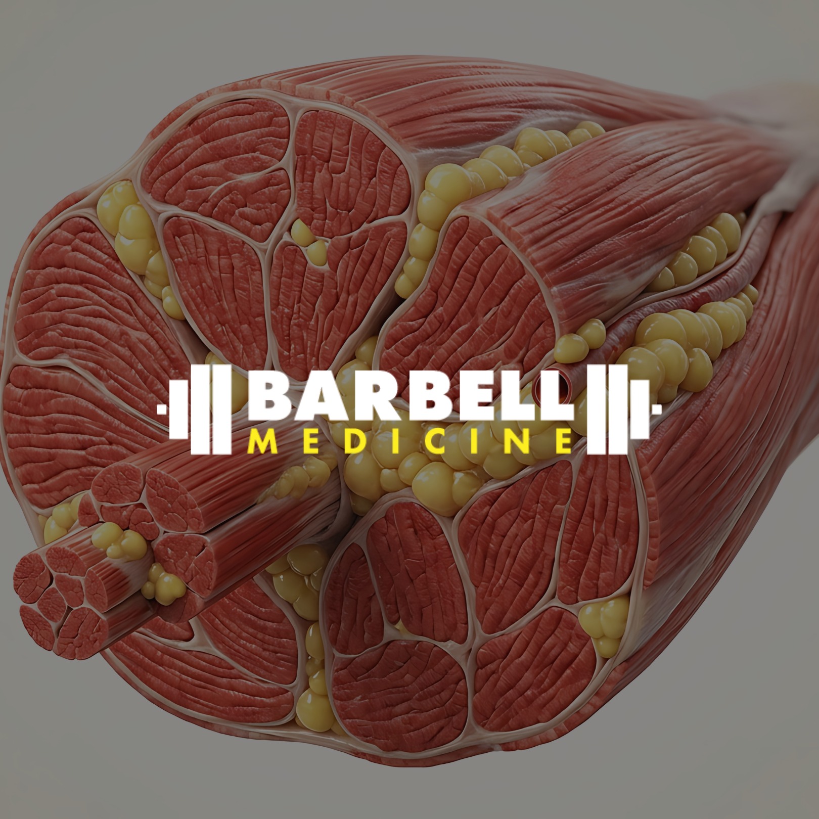 Barbell Medicine artwork