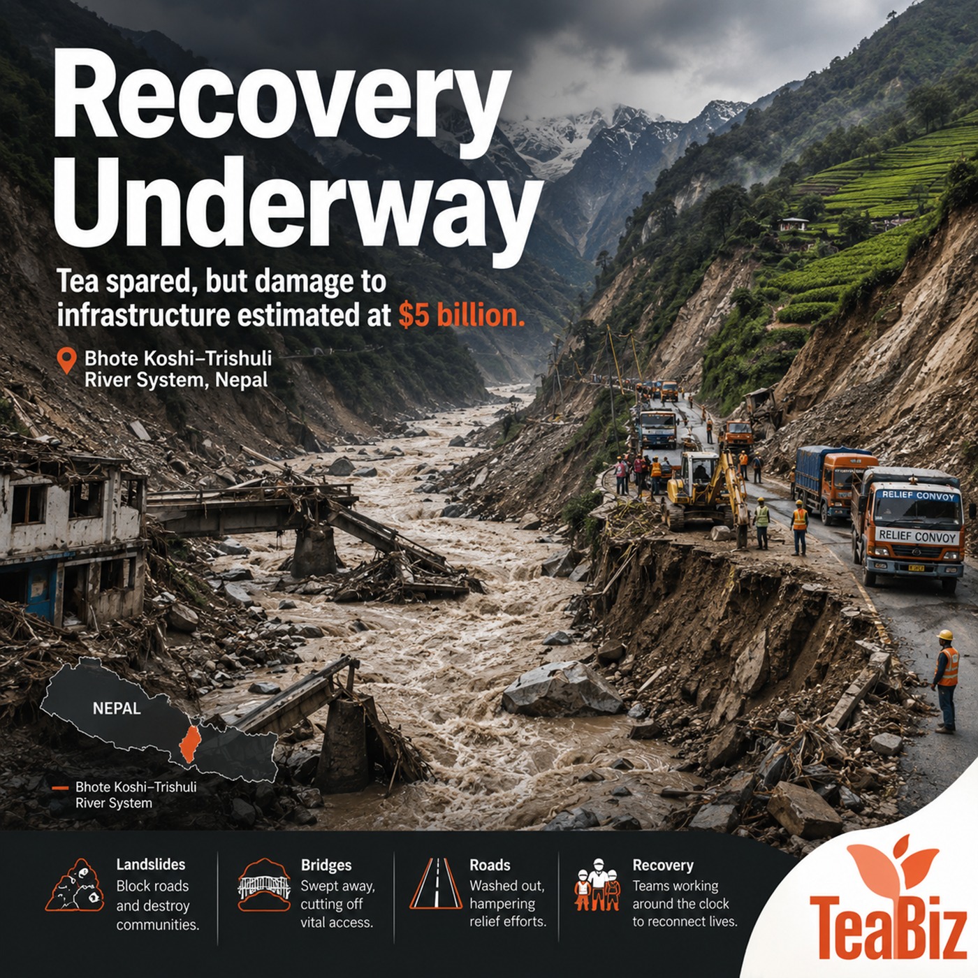 Ep 245 | Nepal Tea Recovers | India Maps Tea by Satellite | US-Grown Matcha episode artwork
